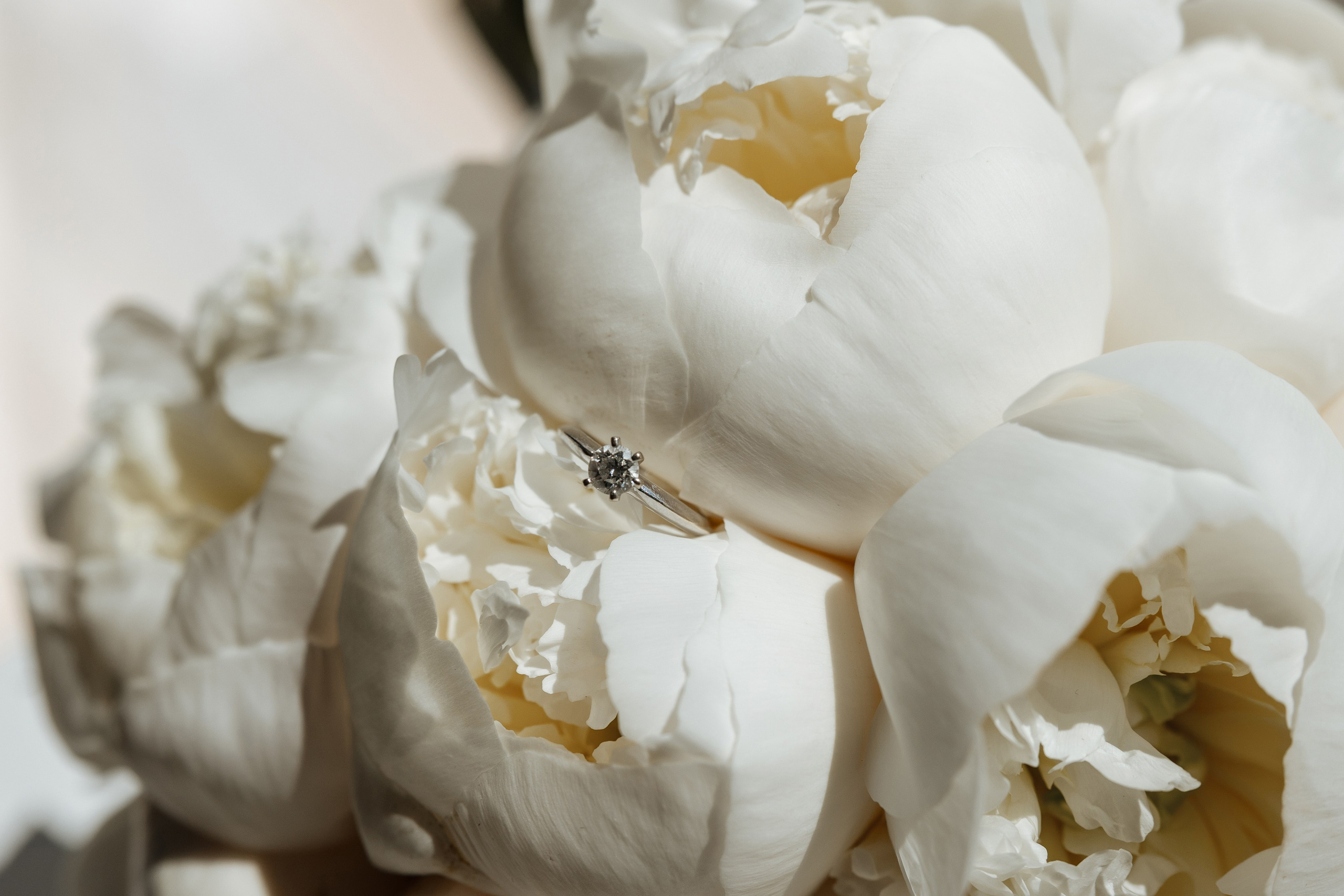 Darina Artem. Ірина Терещук