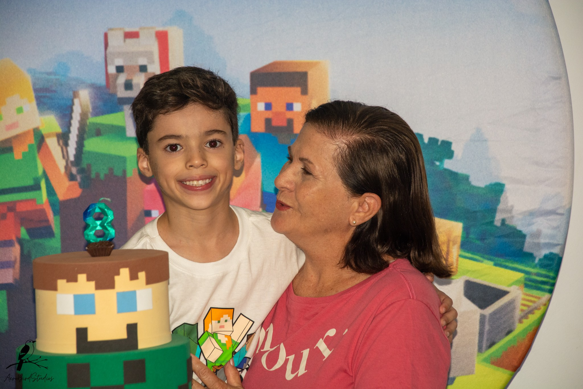 Leonardo 8 ano. AerobirdStudios