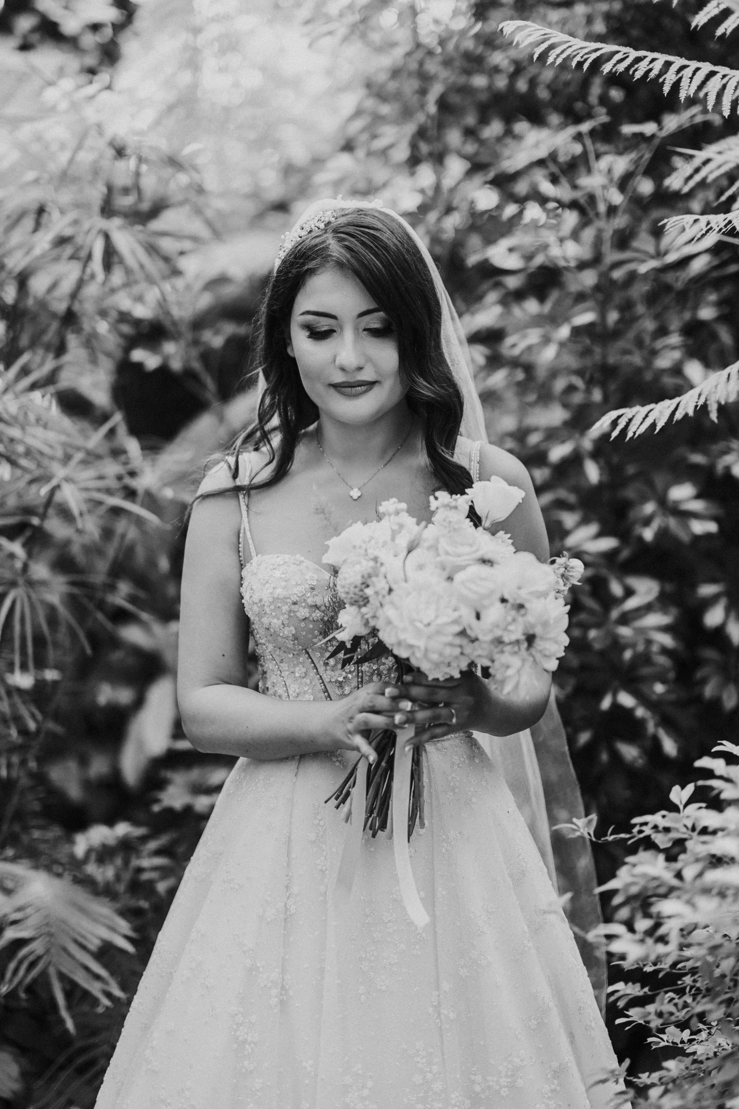 Photography. Alexandar weddings: Home