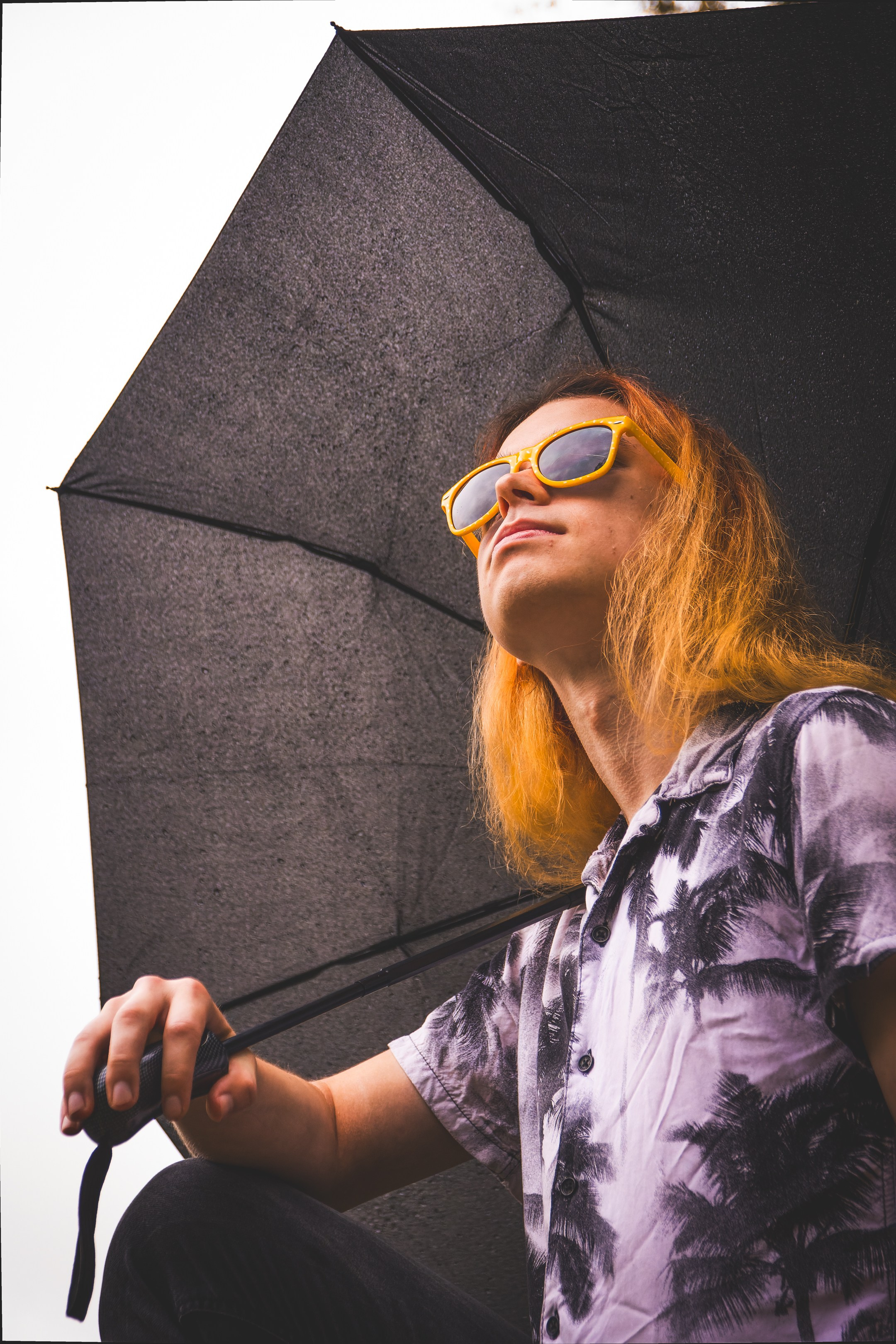 Mets, vihm ja jahedus (Dimitry). Nebula 25 — Fotod teie hingele