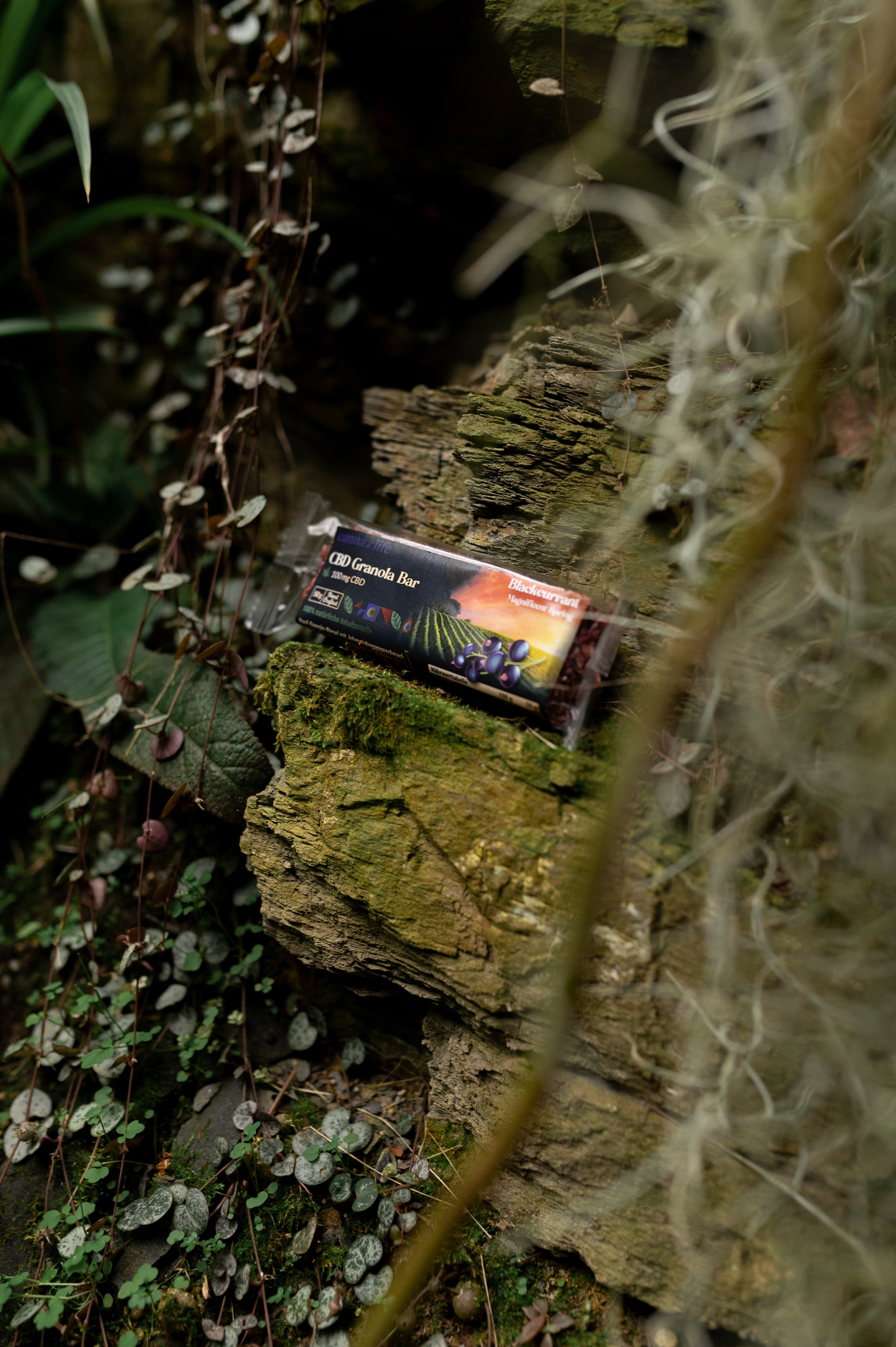 CannaXlife CBD products. ANNA-MARIA PHOTO CONTENT CREATOR — фотограф, эстет, художник и визуальный эксперт в Instagram, работающий в Праге