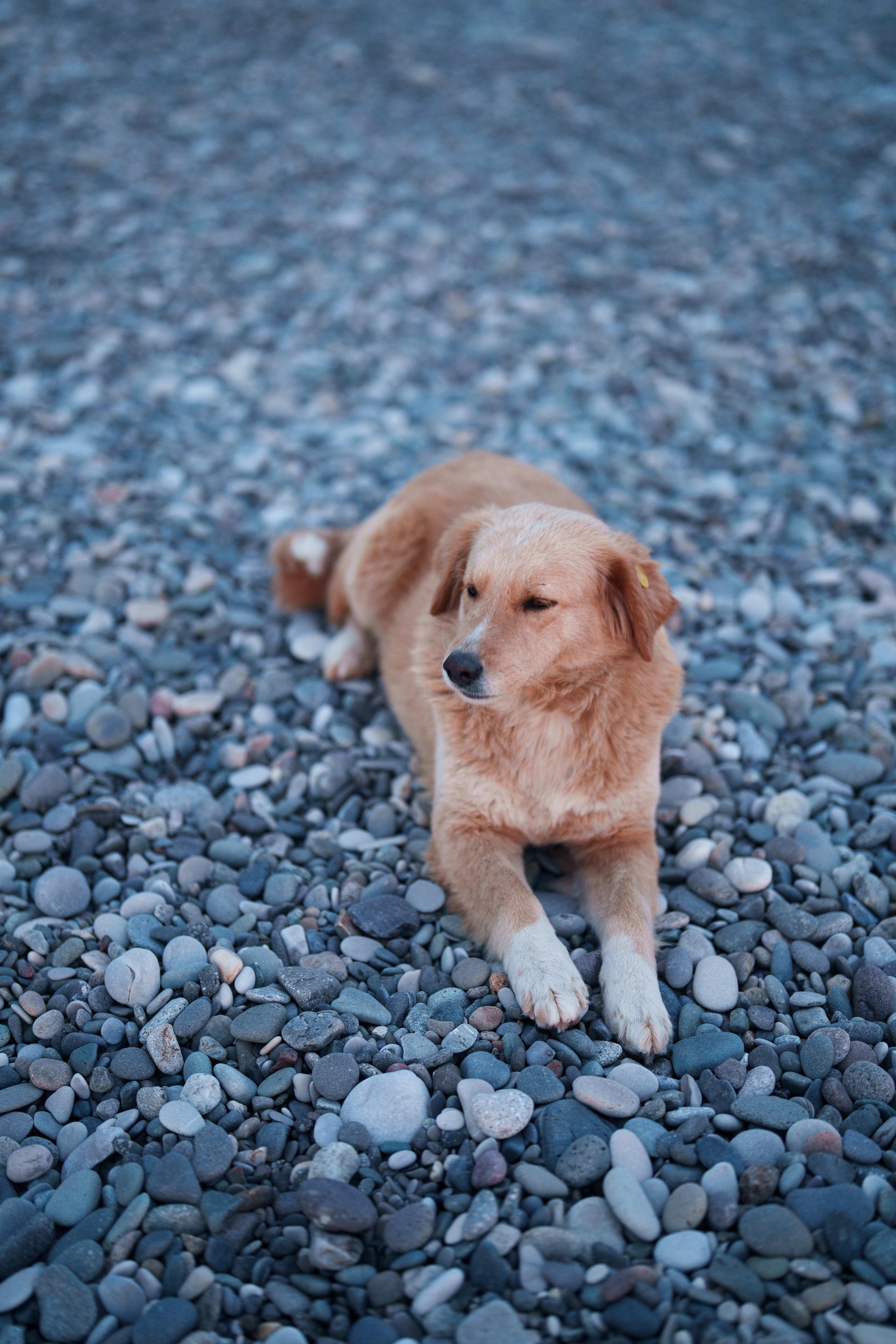 Batumi evening. Ekaterina Verbitskaya. Photography