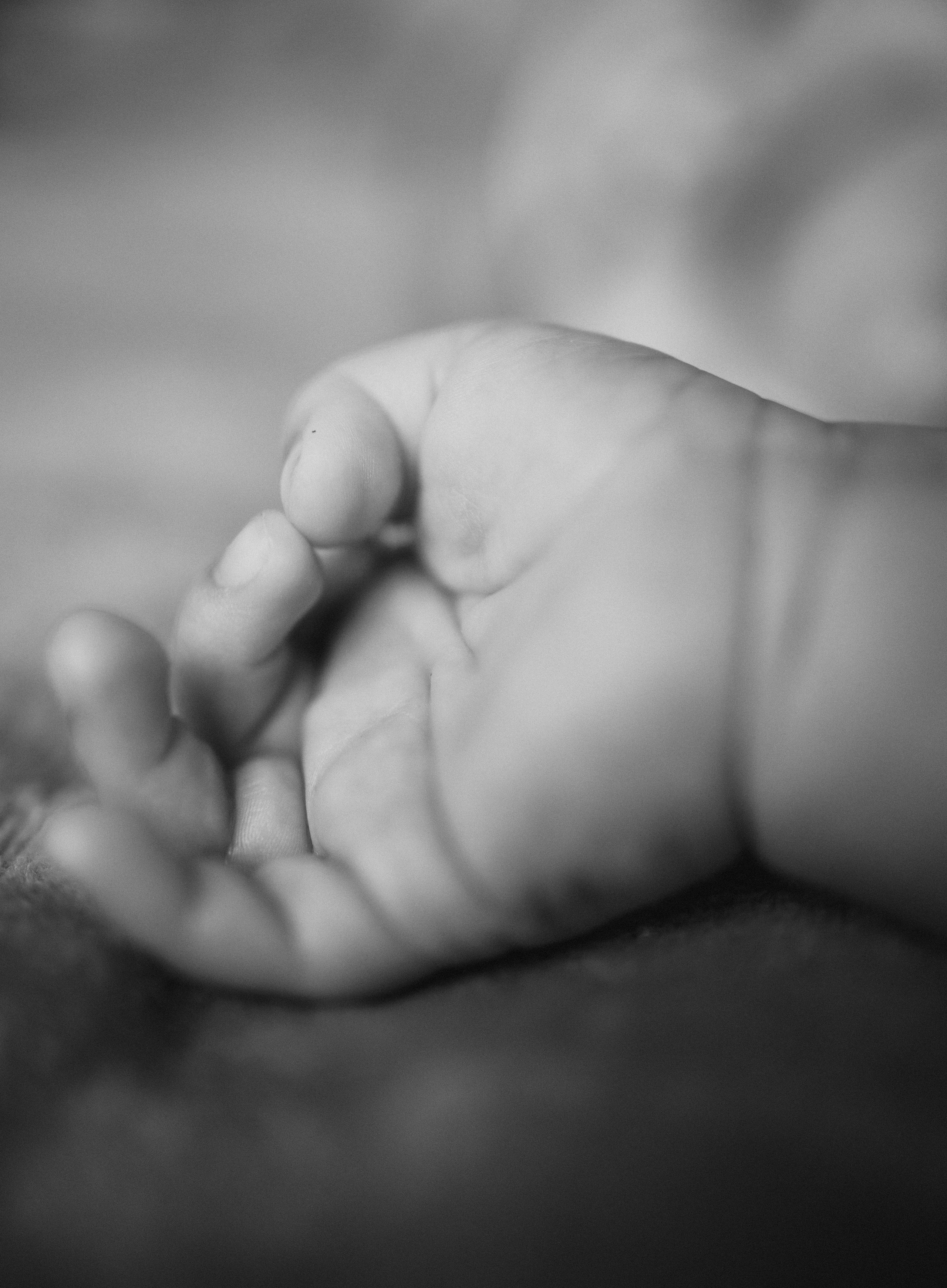 Ianis - Ștefan. Fotograf de familie în Oradea Katsiaryna Ciortan