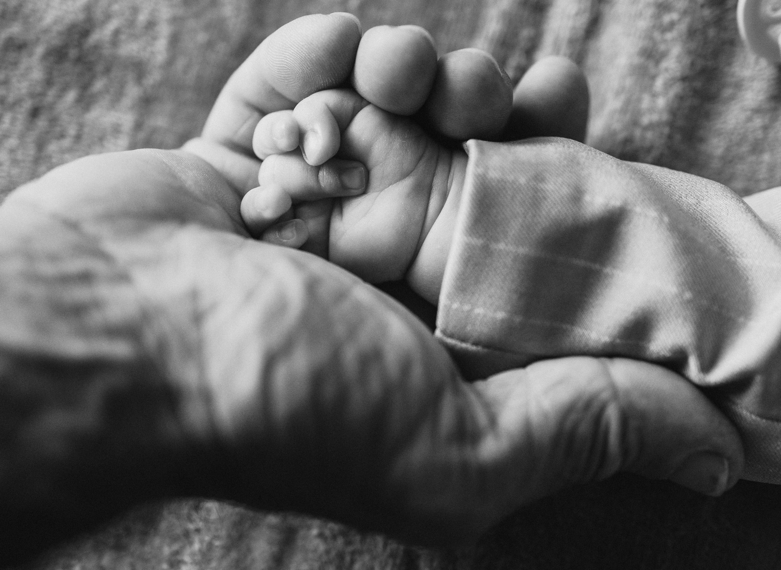 Ianis - Ștefan. Fotograf de familie în Oradea Katsiaryna Ciortan
