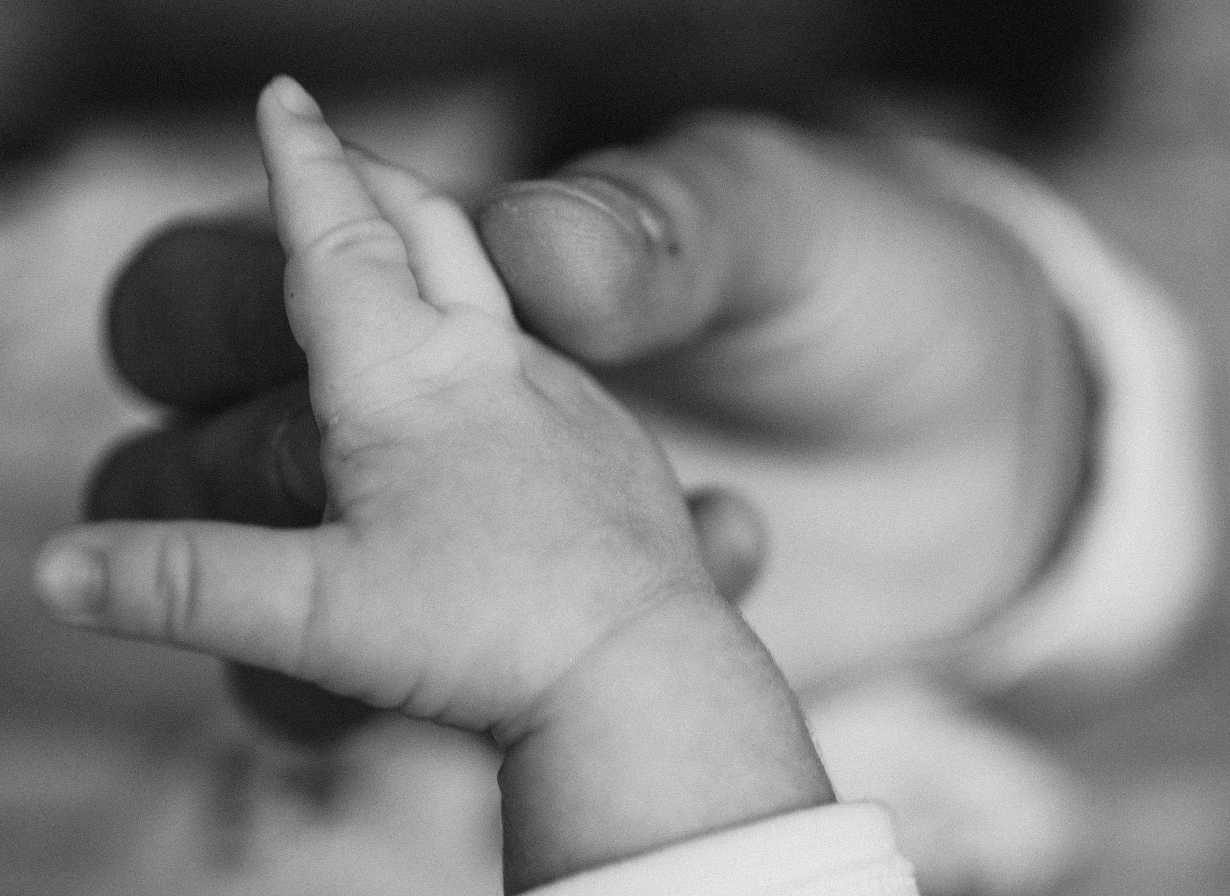 Ianis - Ștefan. Fotograf de familie în Oradea Katsiaryna Ciortan