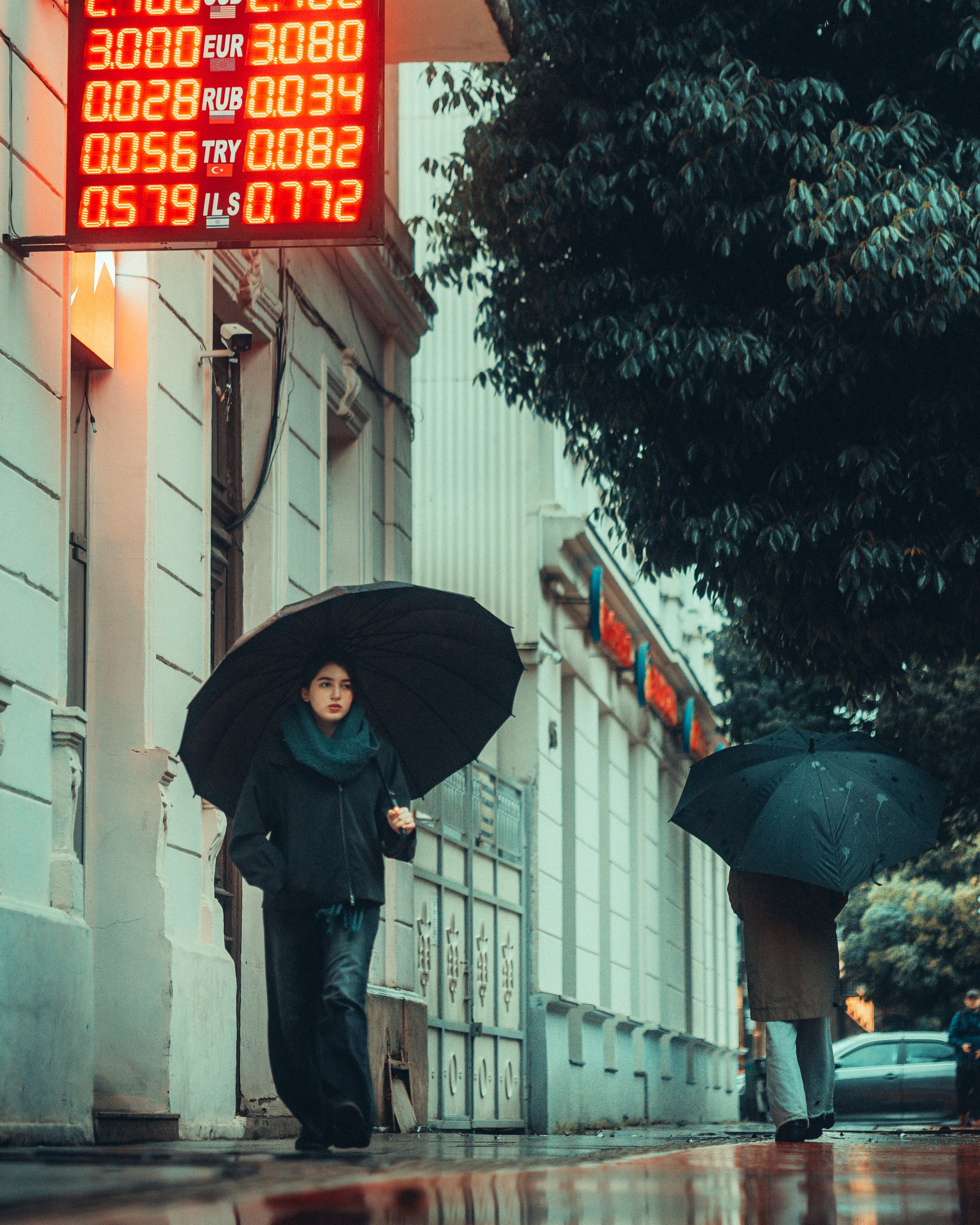 B A T U M I 2 0 2 5. Bspander