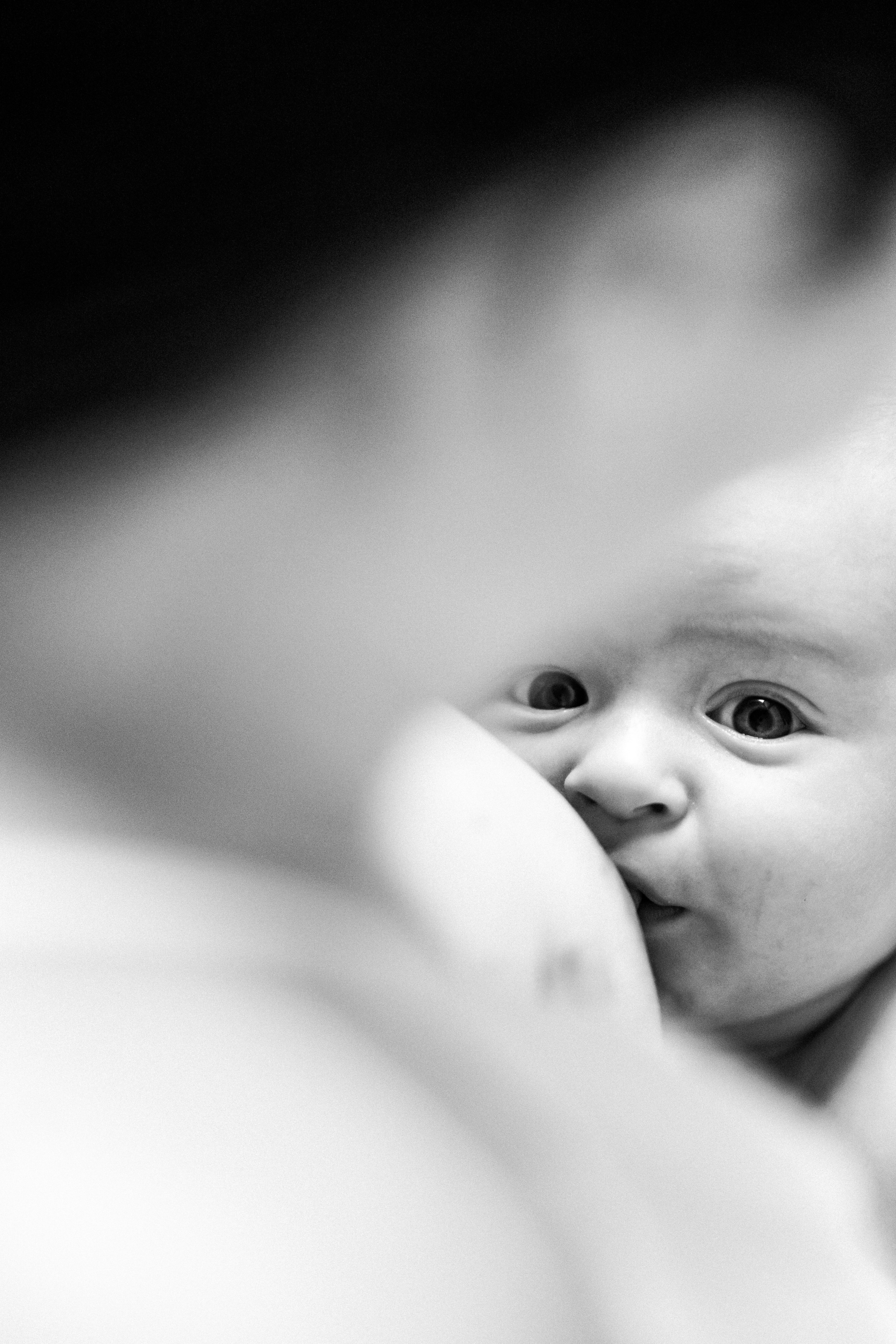 Baby Fotoshootings in Wien 