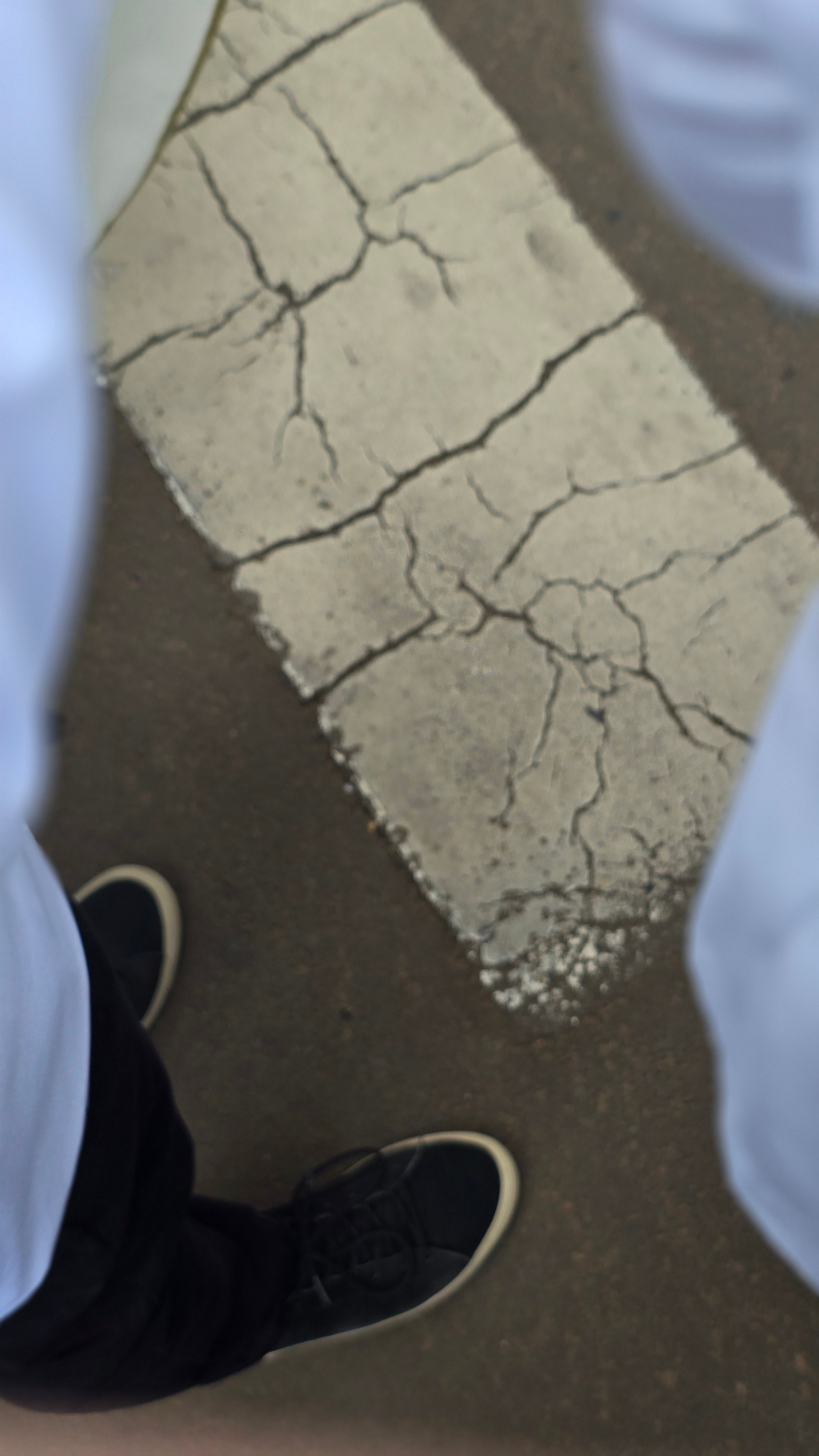 Peregrinação Nossa Senhora de Belém. Handa Produções