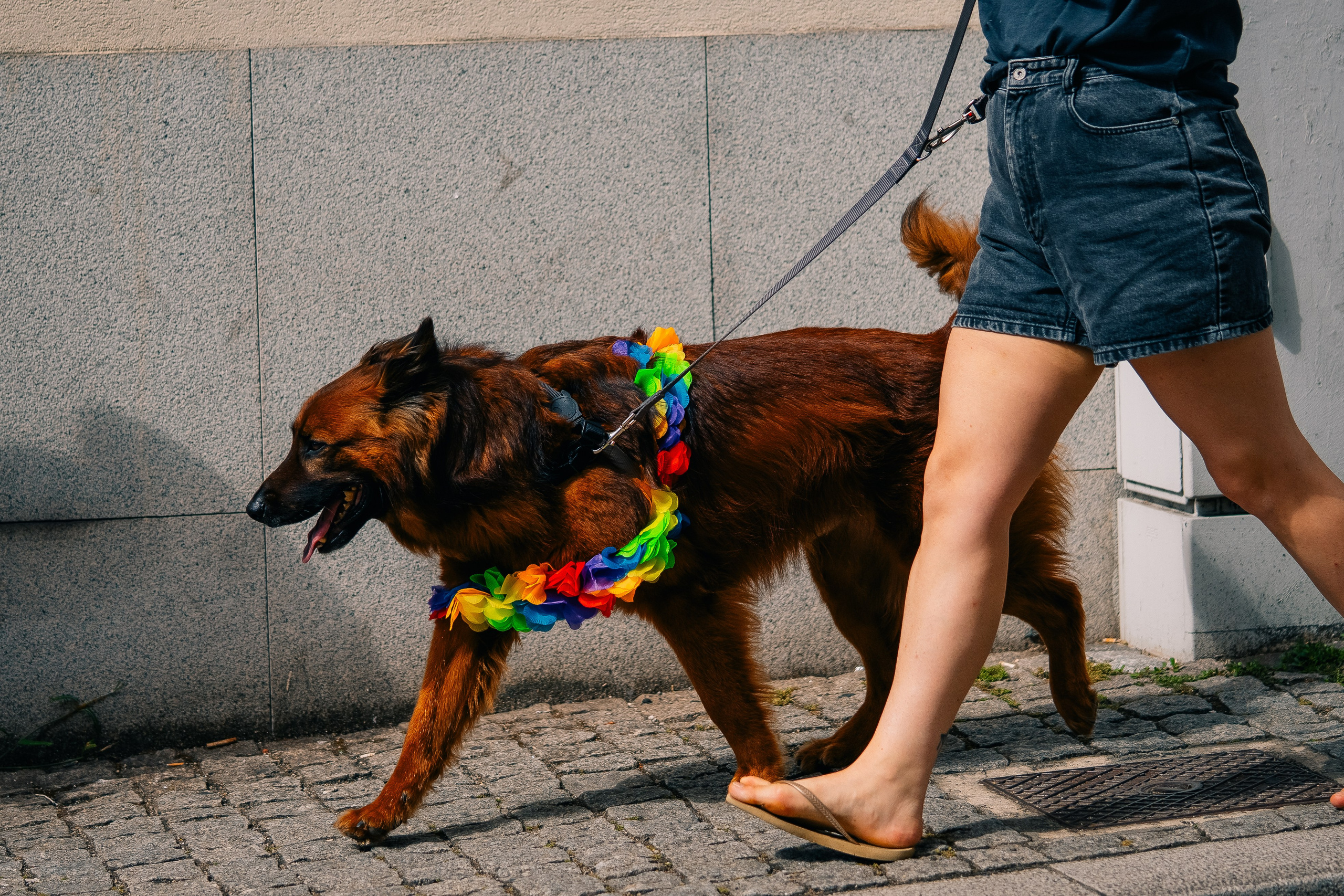 Porto Pride 2024. Мария Шер. Профессиональный фотограф в городе Порту, Португалия