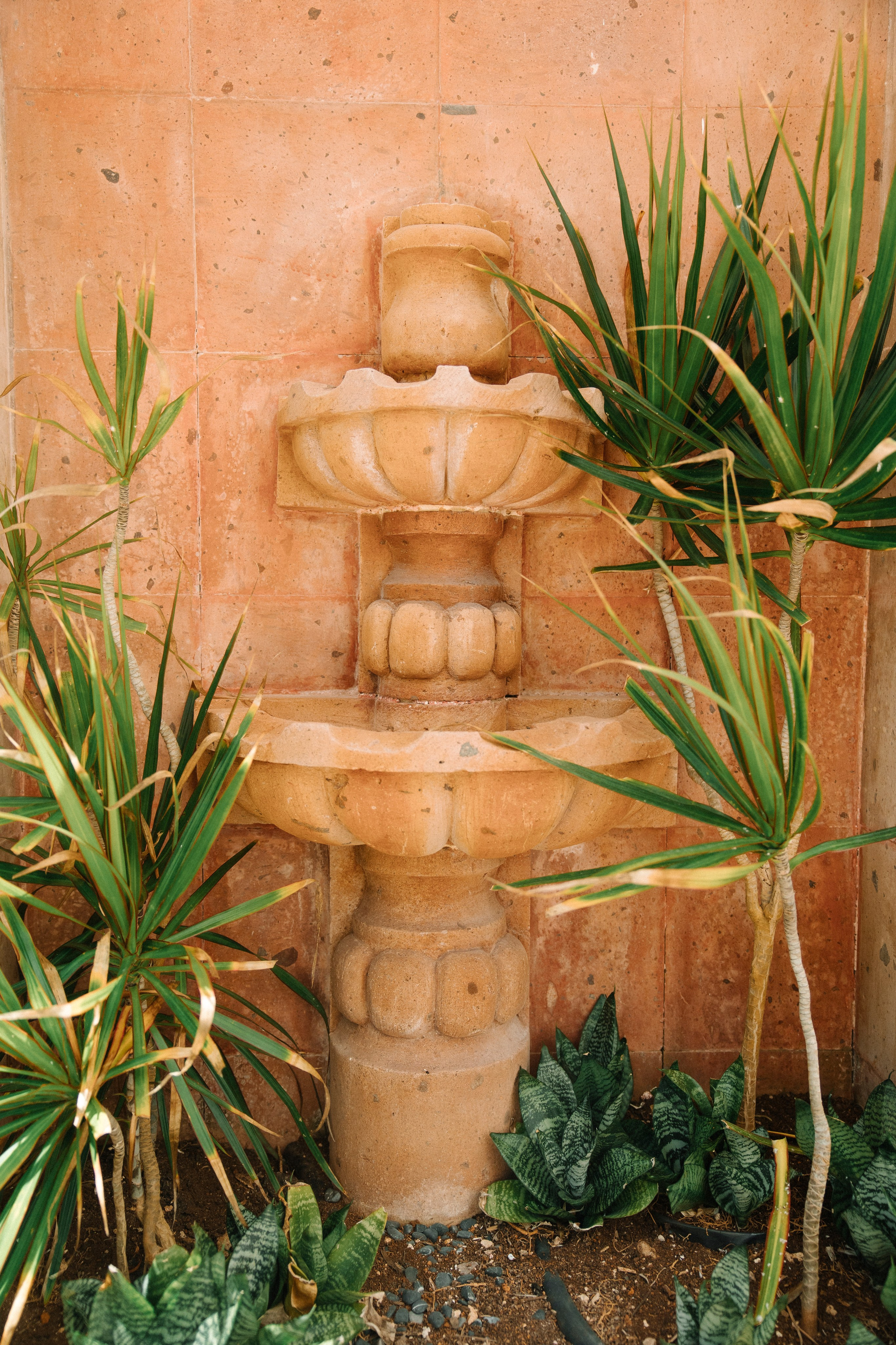 Maroma, A Belmont Hotel, Riviera Maya. Wedding photographer Mexico Sayulita Puerto Vallarta Punta Mita Cabo