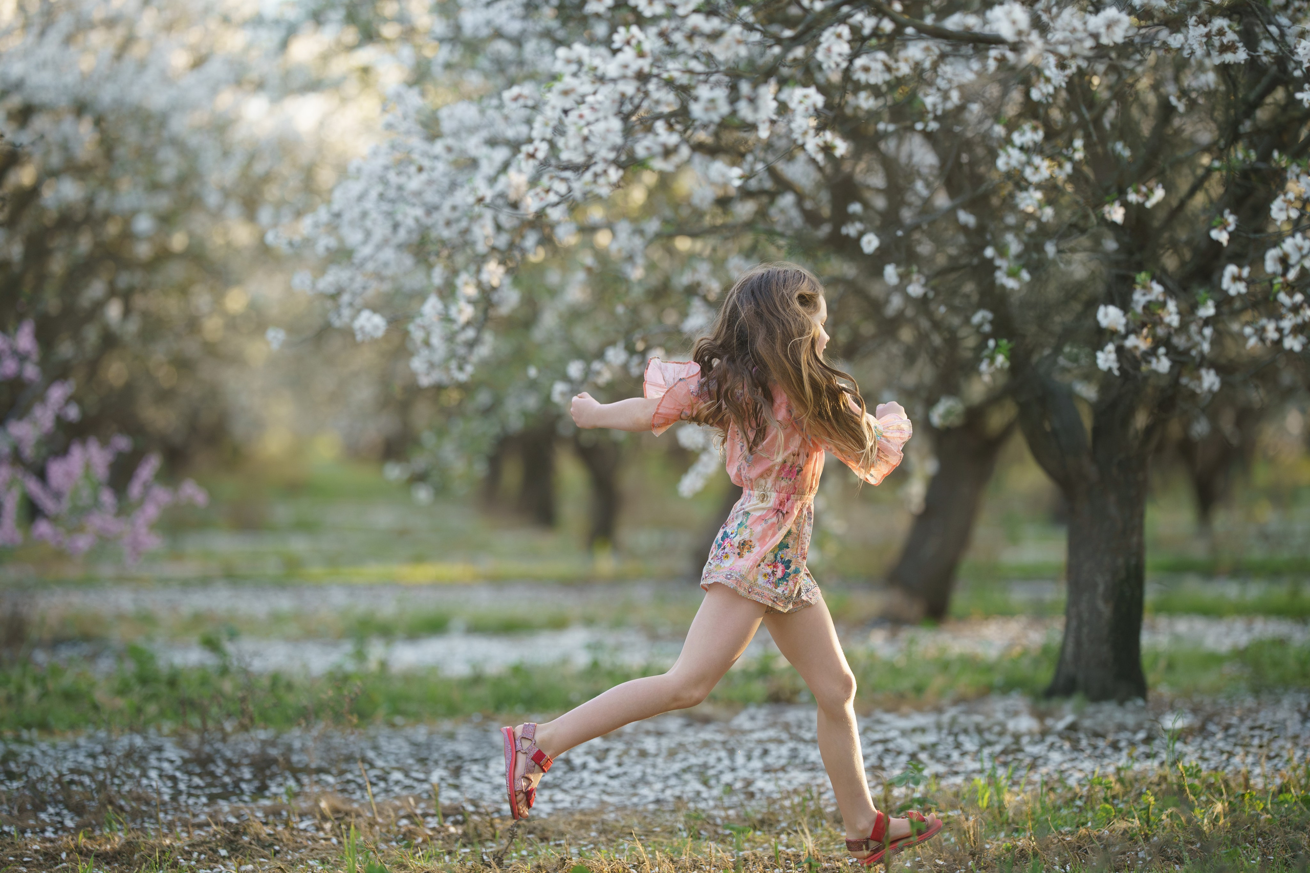 Svetlana and Anny. Tatiana Smirnova — Photographer