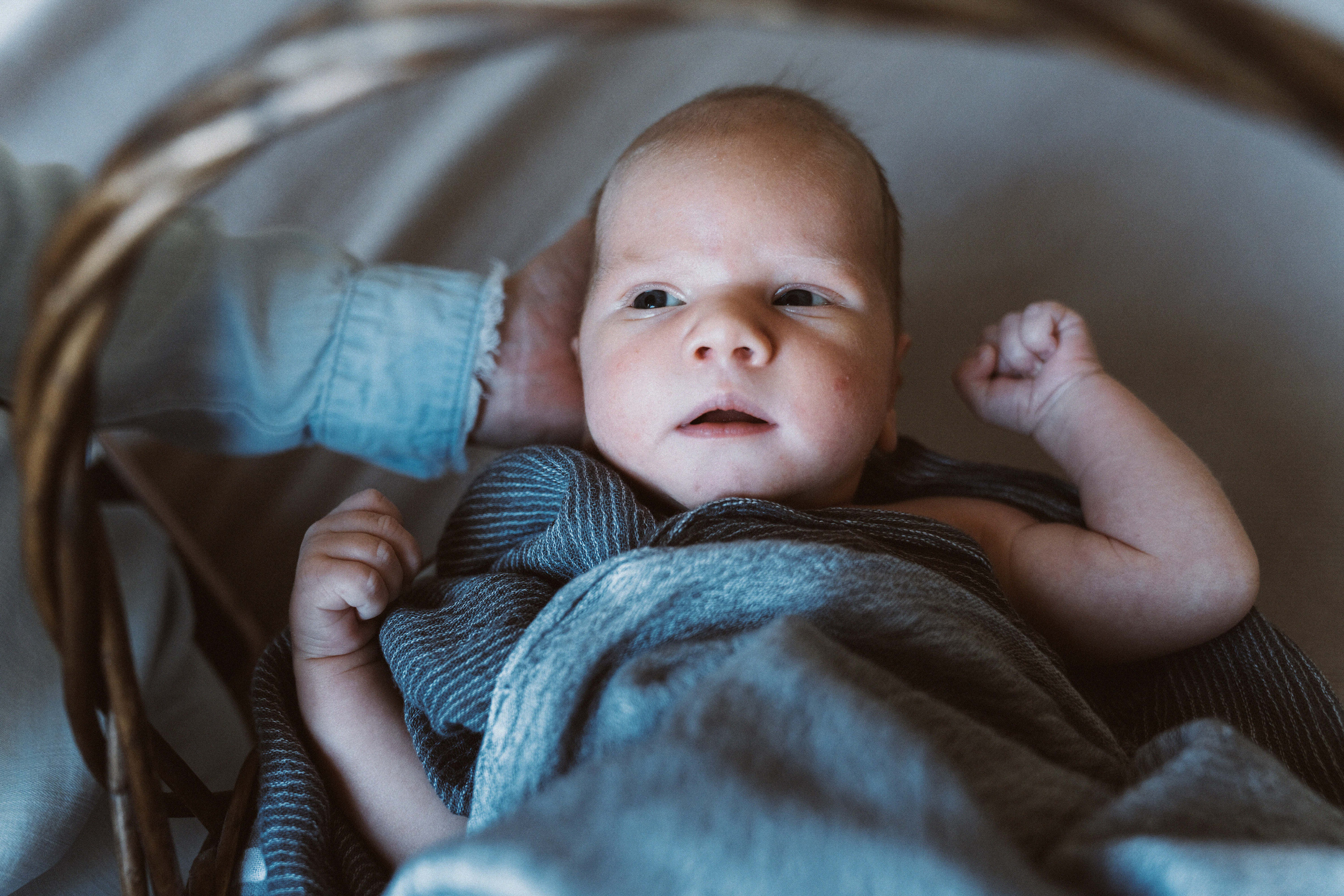 New Happiness. Newborn, Family and Portrait Photographer (Raleigh, Cary, Apex)