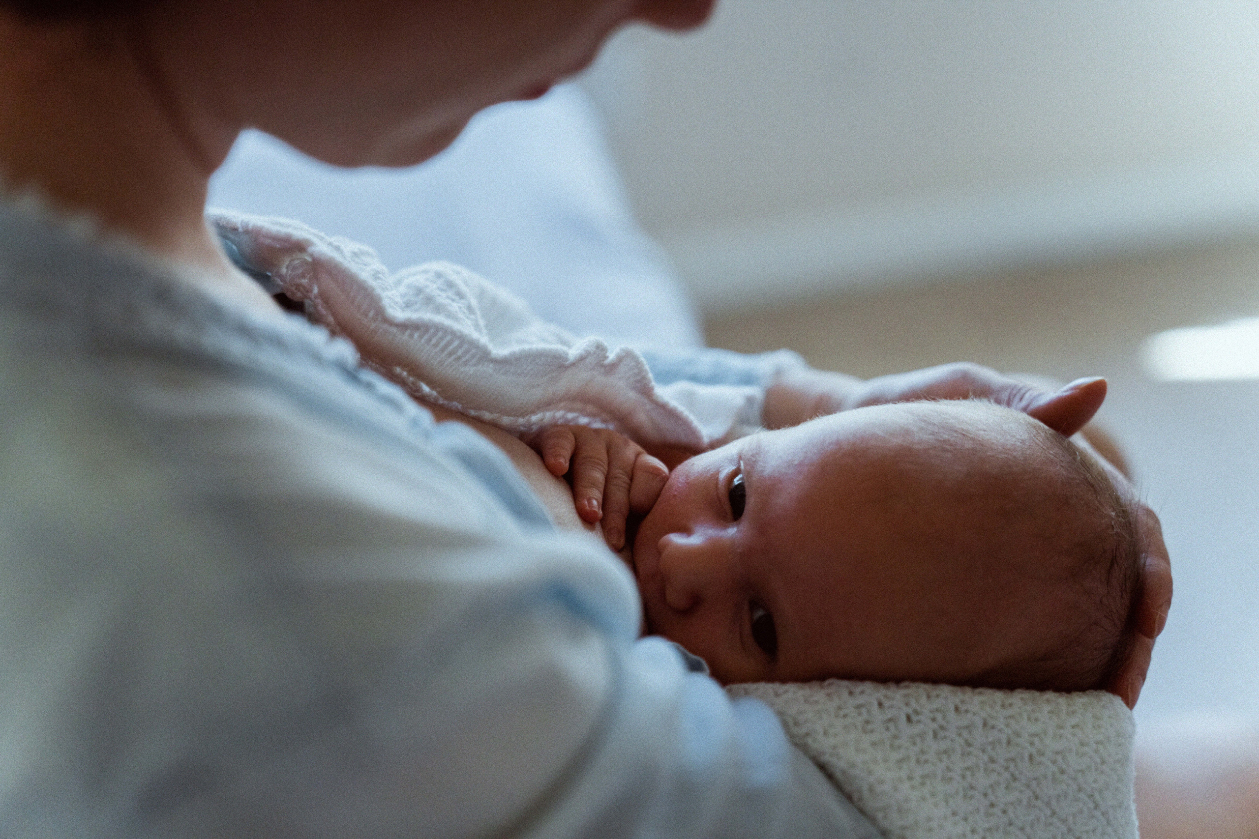 New Happiness. Newborn, Family and Portrait Photographer (Raleigh, Cary, Apex)