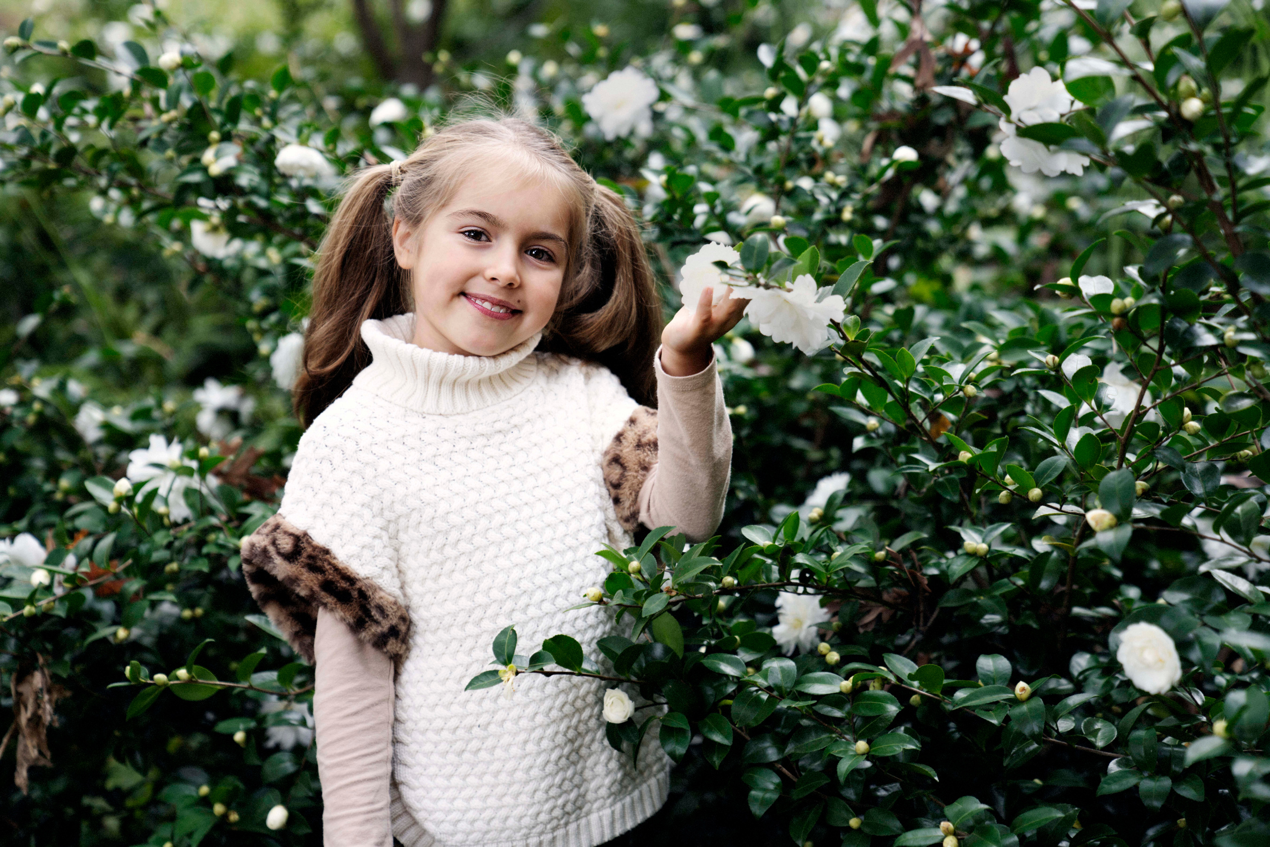 Autumn day. Newborn, Family and Portrait Photographer (Raleigh, Cary, Apex)