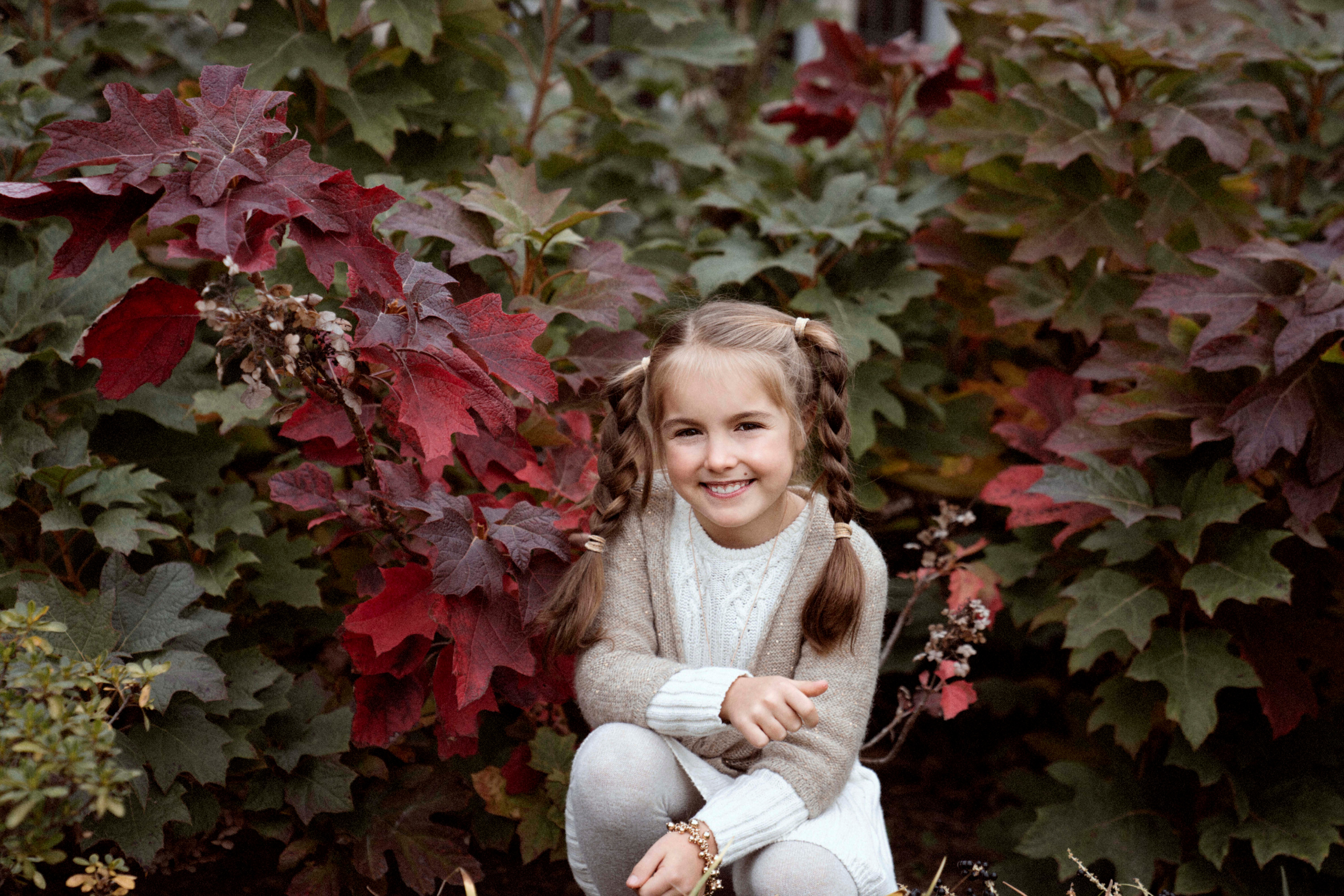 Autumn day. Newborn, Family and Portrait Photographer (Raleigh, Cary, Apex)