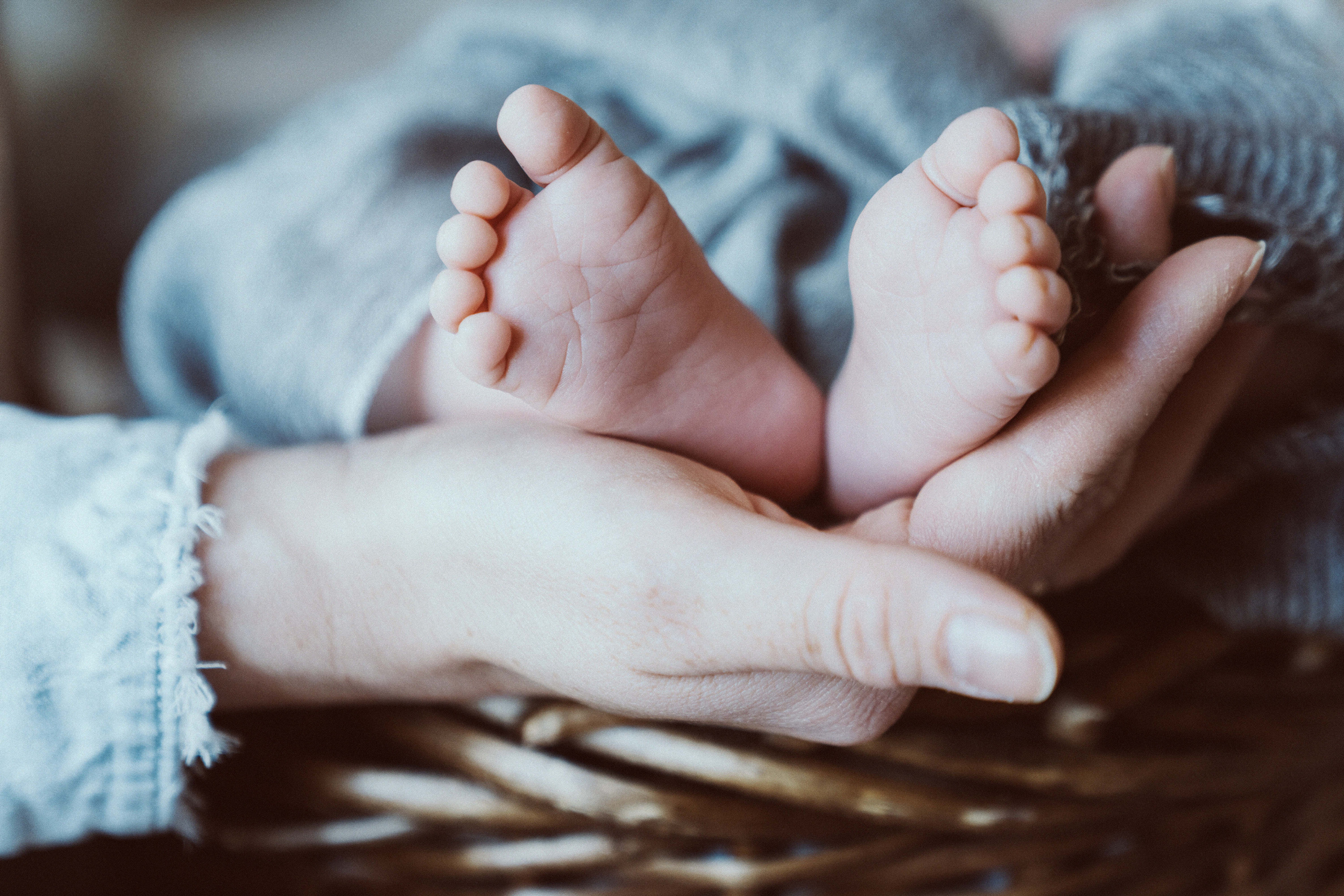 New Happiness. Newborn, Family and Portrait Photographer (Raleigh, Cary, Apex)