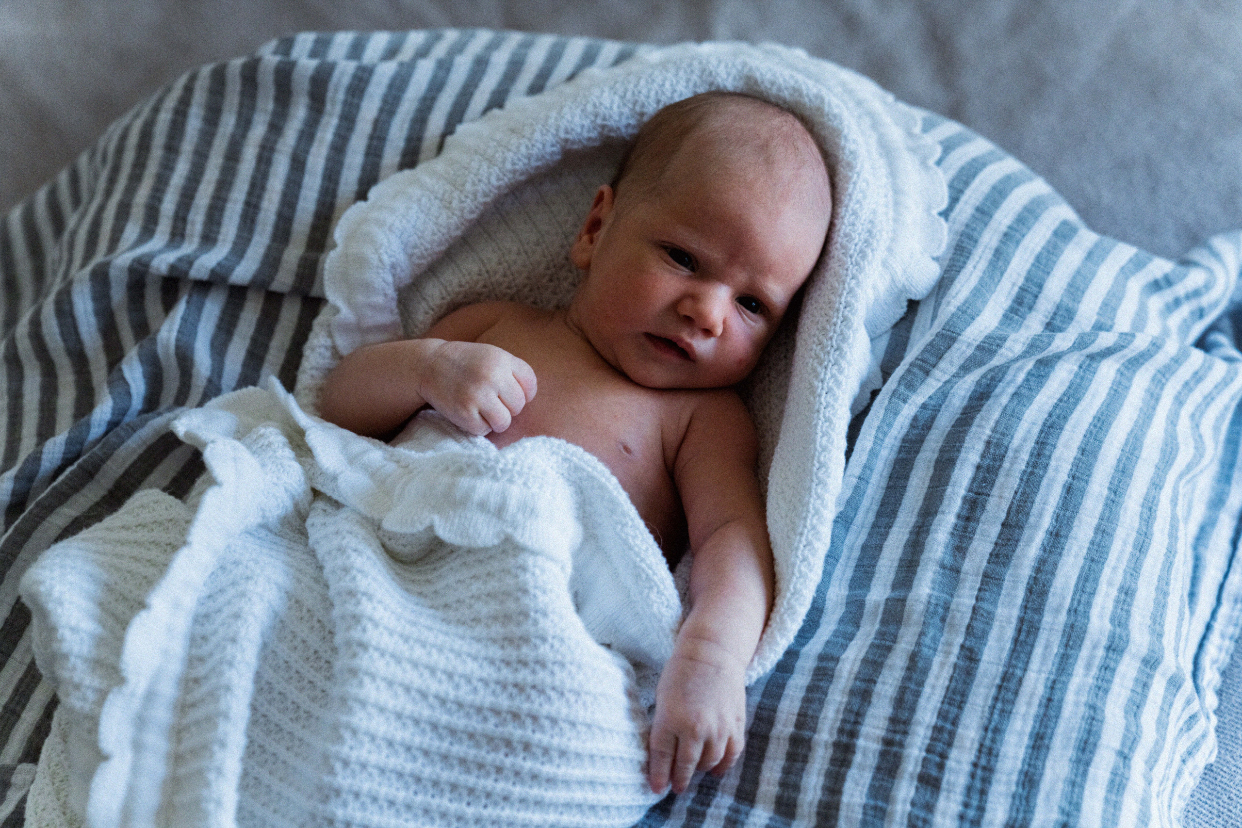 New Happiness. Newborn, Family and Portrait Photographer (Raleigh, Cary, Apex)