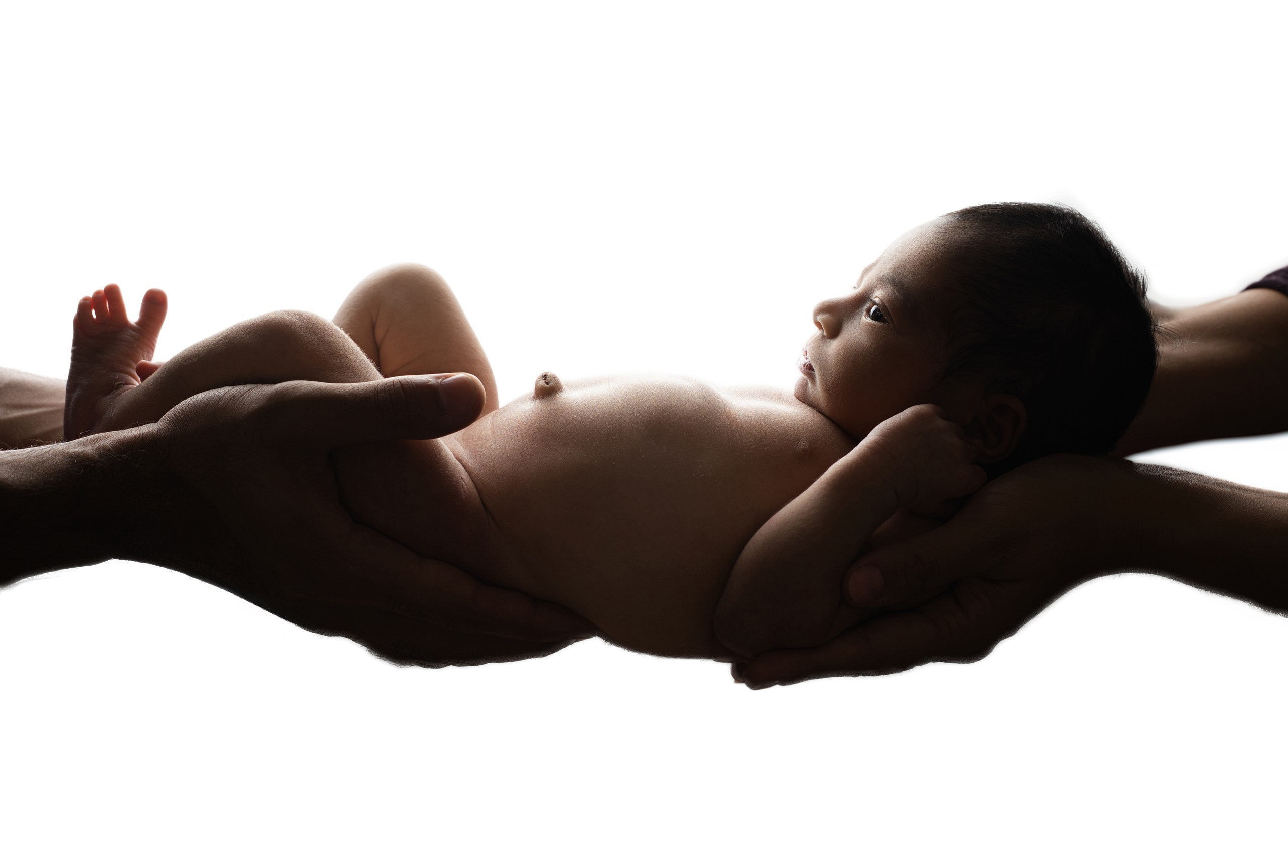 Newborn Photography — Capturing Your Baby’s First Precious Moments. Julia Bolgov Photography | Newborn, Family, Maternity & Milestone Photographer in Bay Area, CA