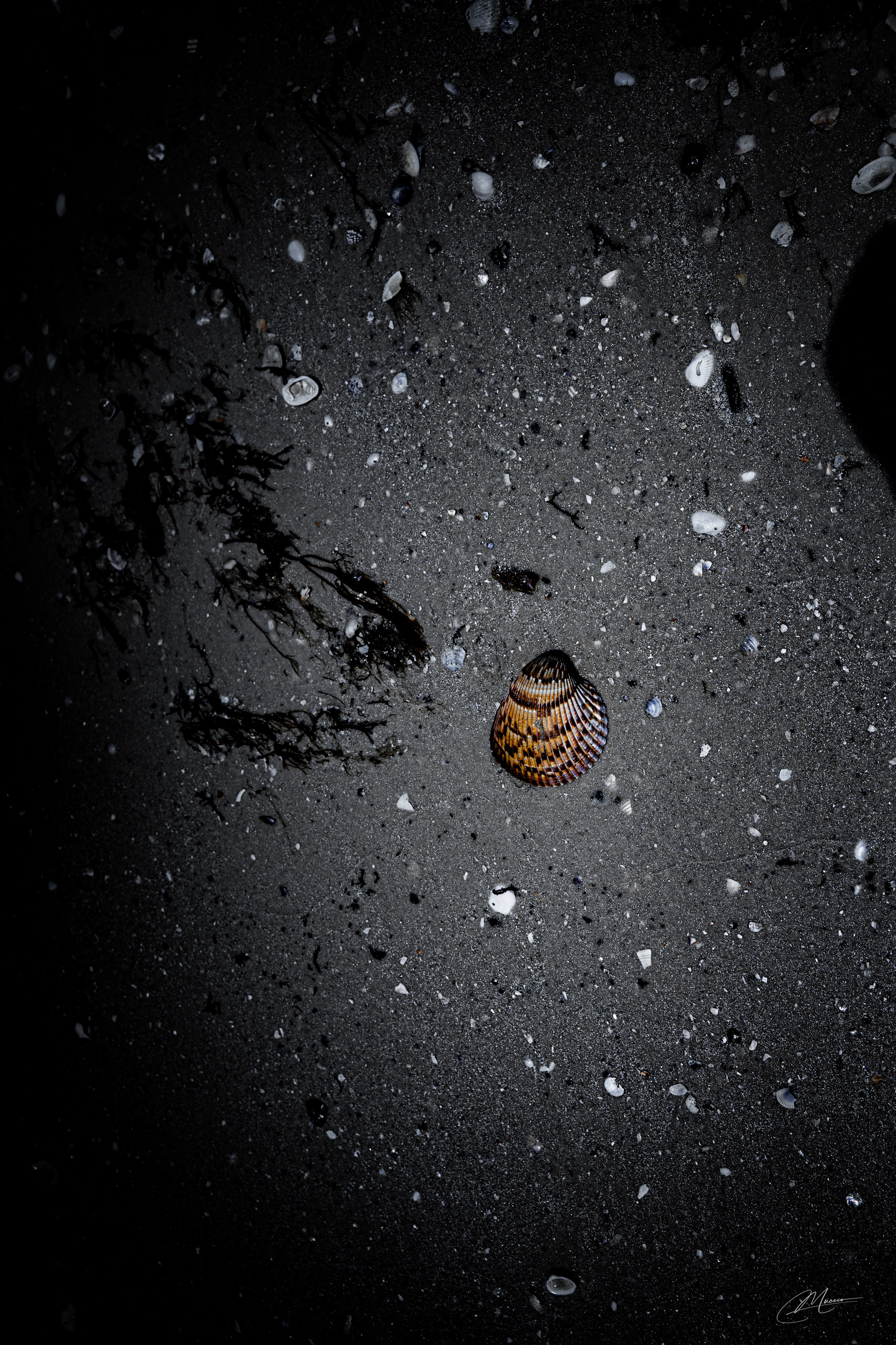 Black and White. Out and About 239