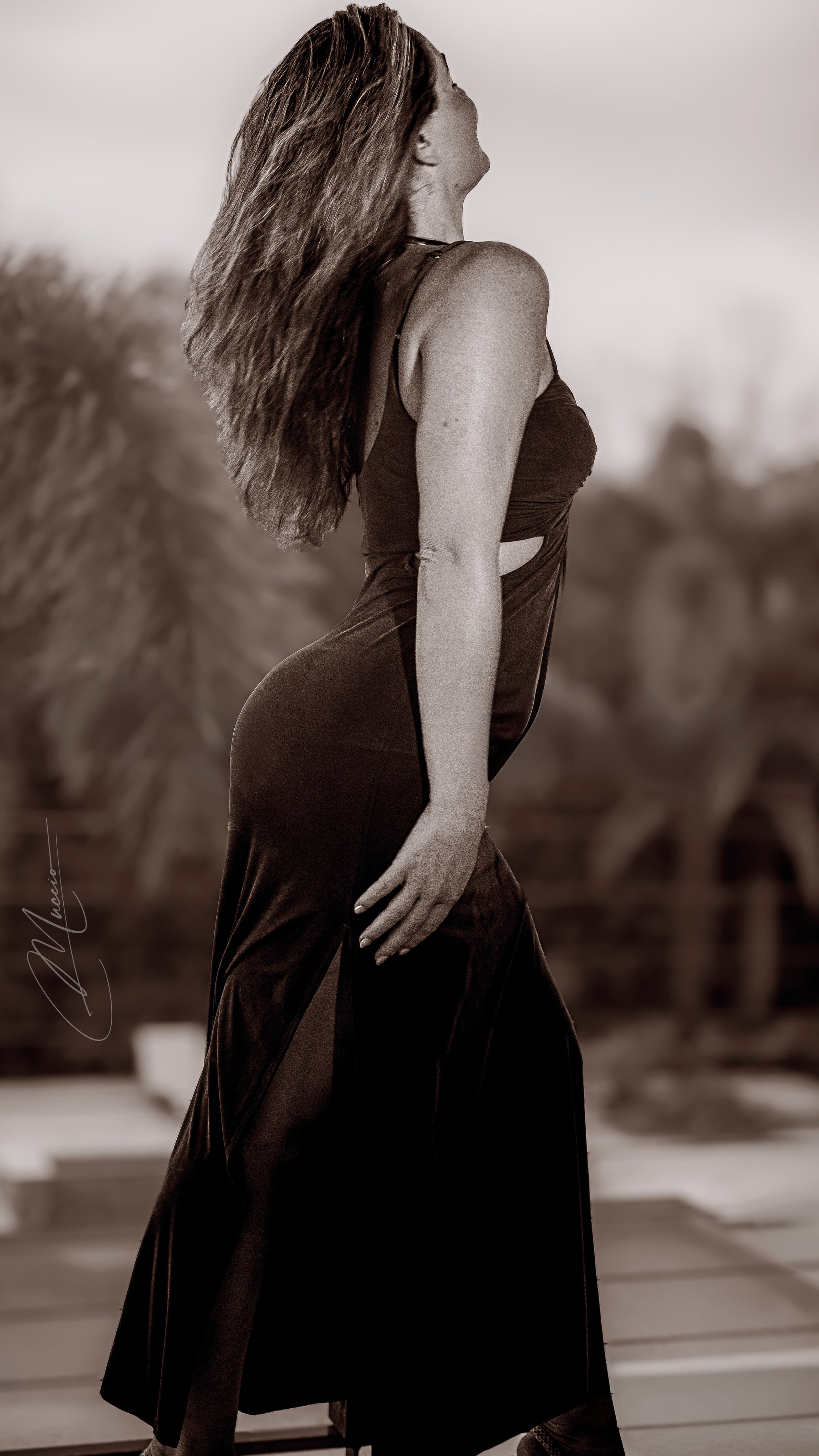 Black and White. Out and About 239