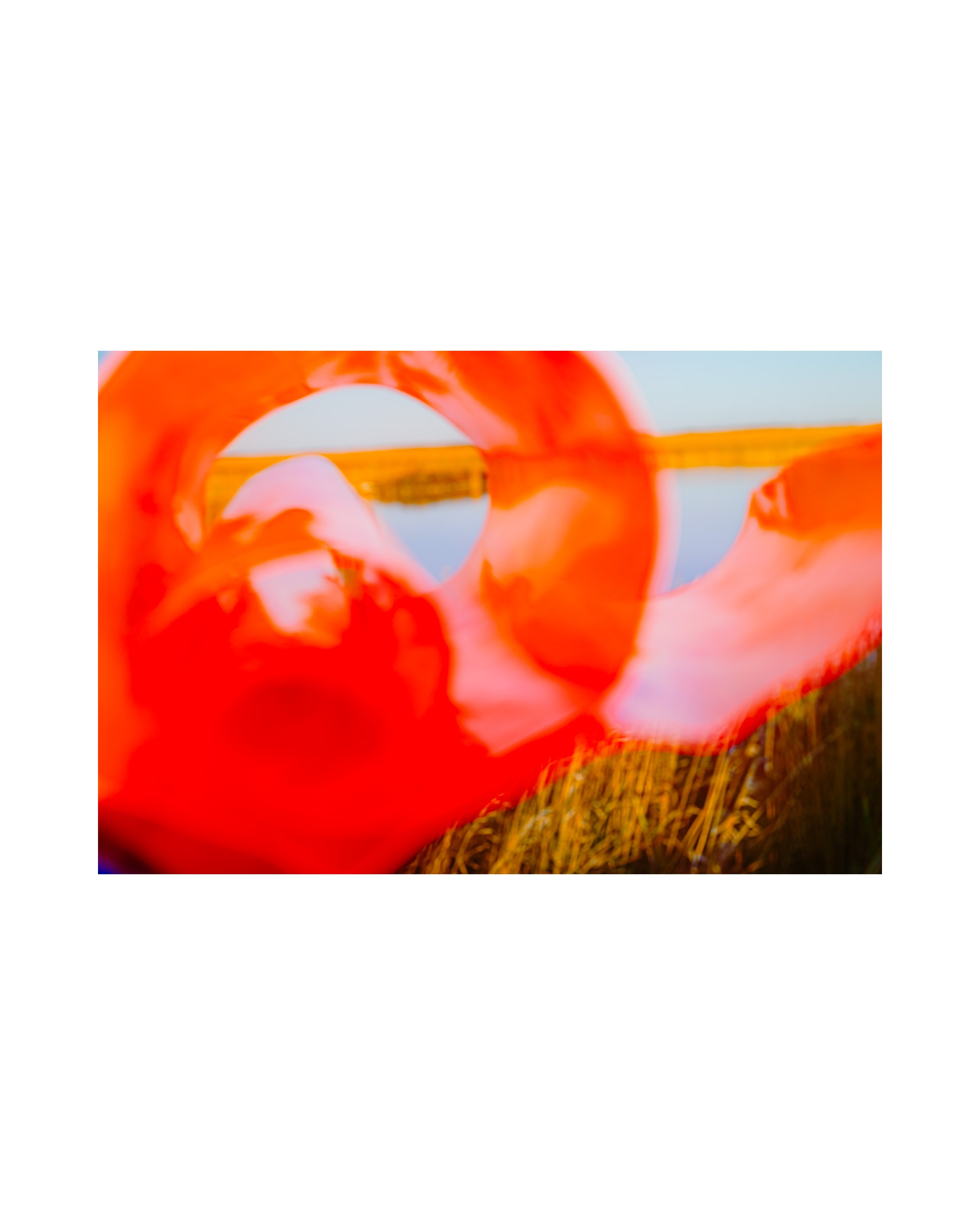 Nature from Exaggerated Worlds. Ekaterina Tsurkina-Appina Photography Canada