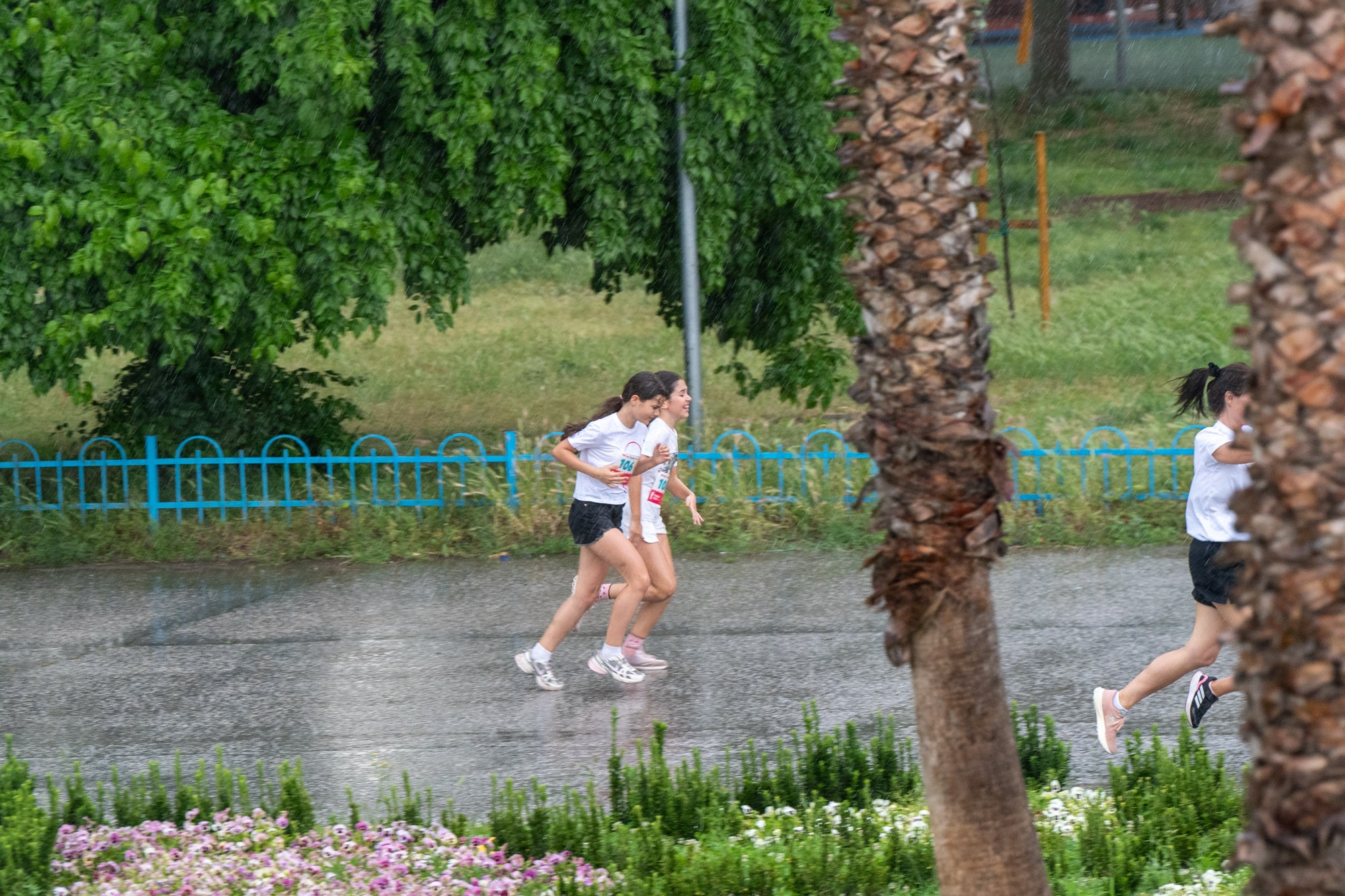 Детско бягане 01.06.2026. «Plovdiv Hills in MARKOVO» е състезание по планинско бягане