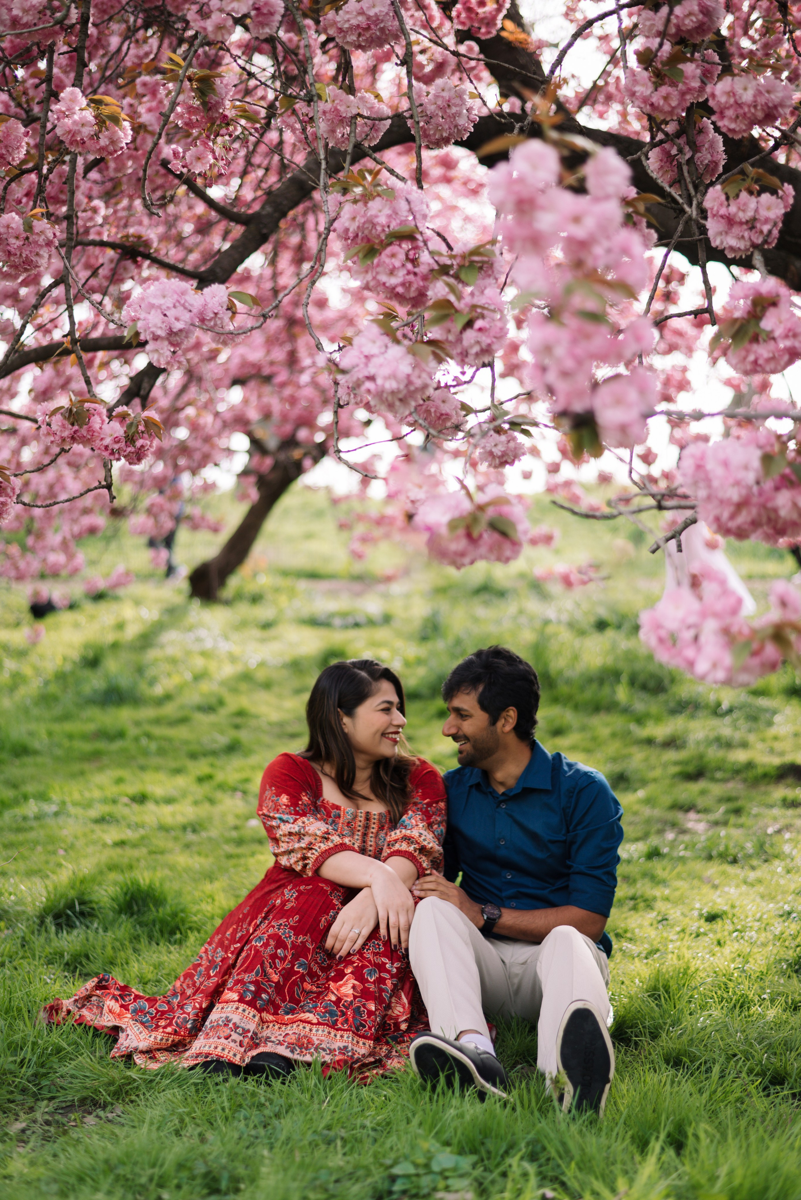 Cherry Blossom. Irina Goncharenko — NYC Photographer