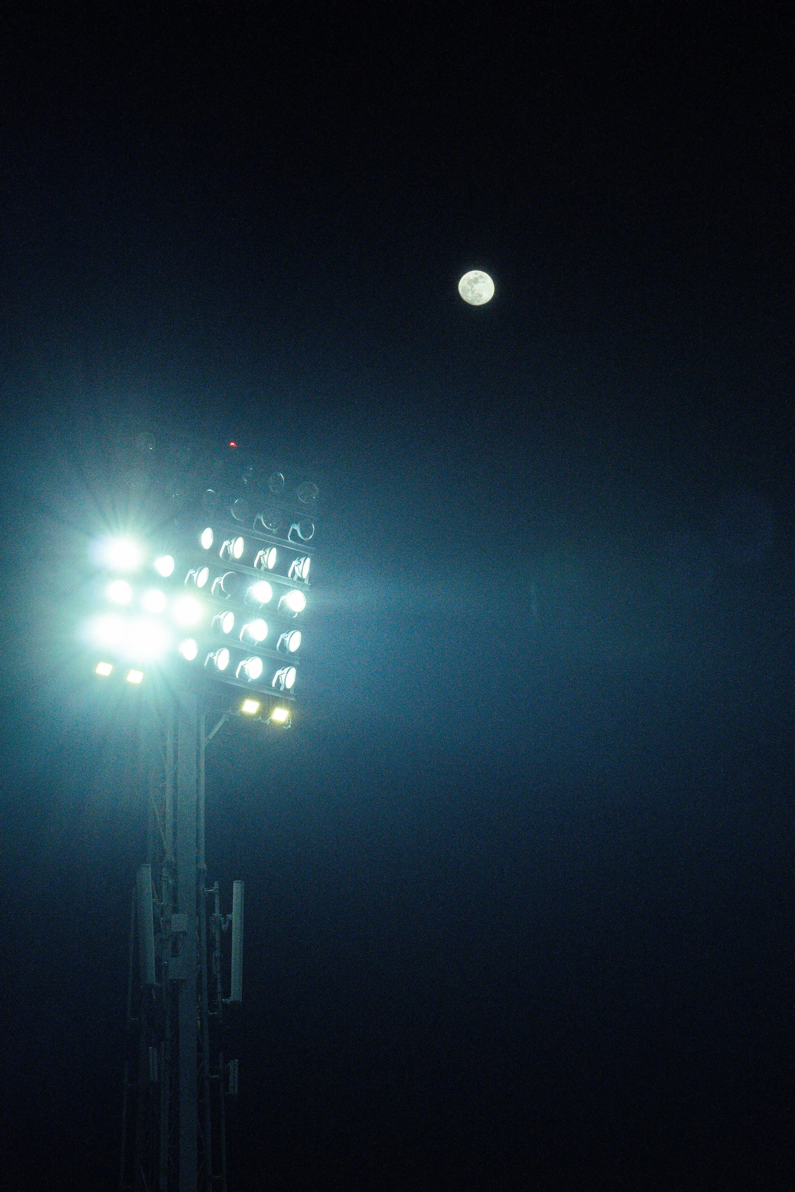 OFK Mladost Donja Gorica. Sports photography