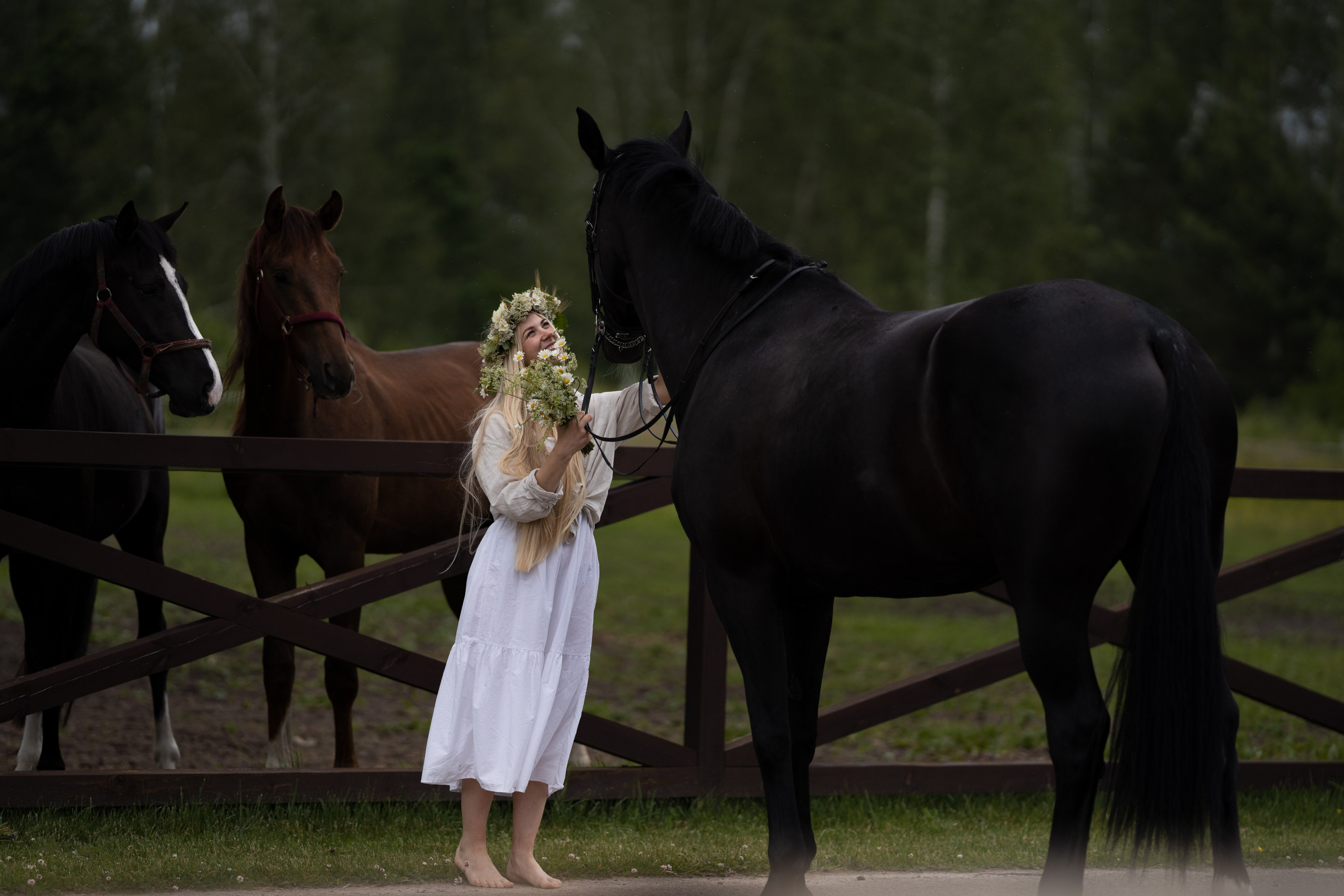 Equestrian art. Sports and portrait photographer in Riga