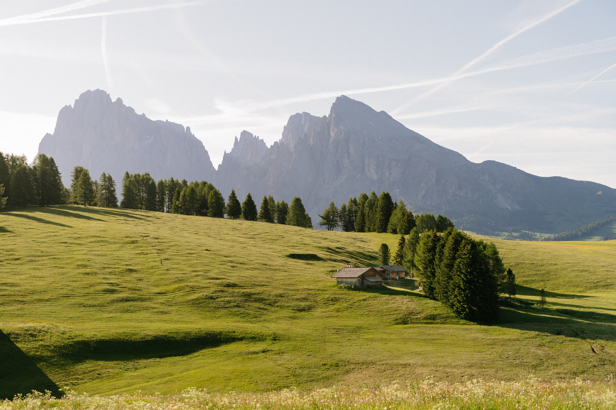 Proposal location in Alpi di Siusi in Dolomites