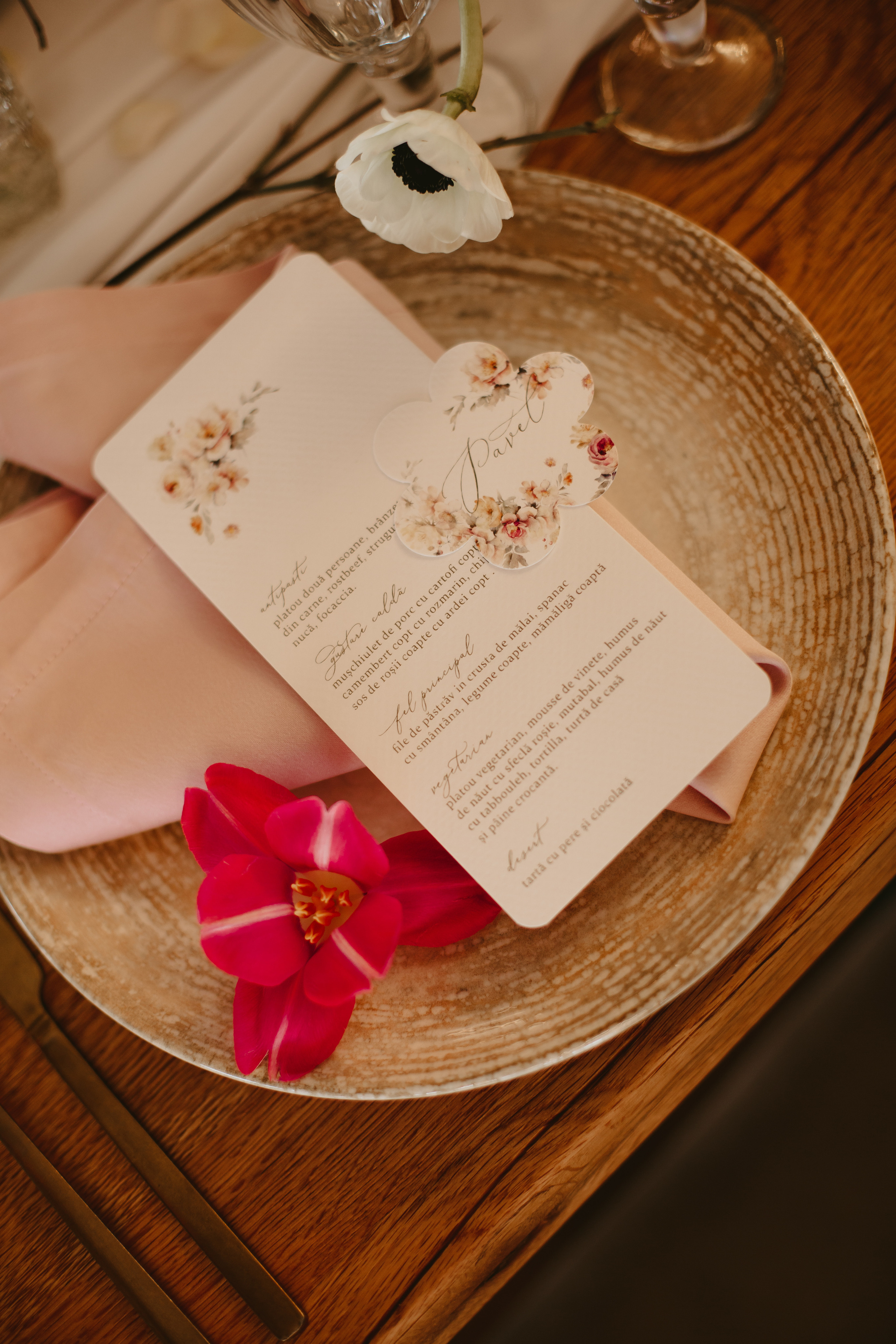 S&D. Fotograf București, România