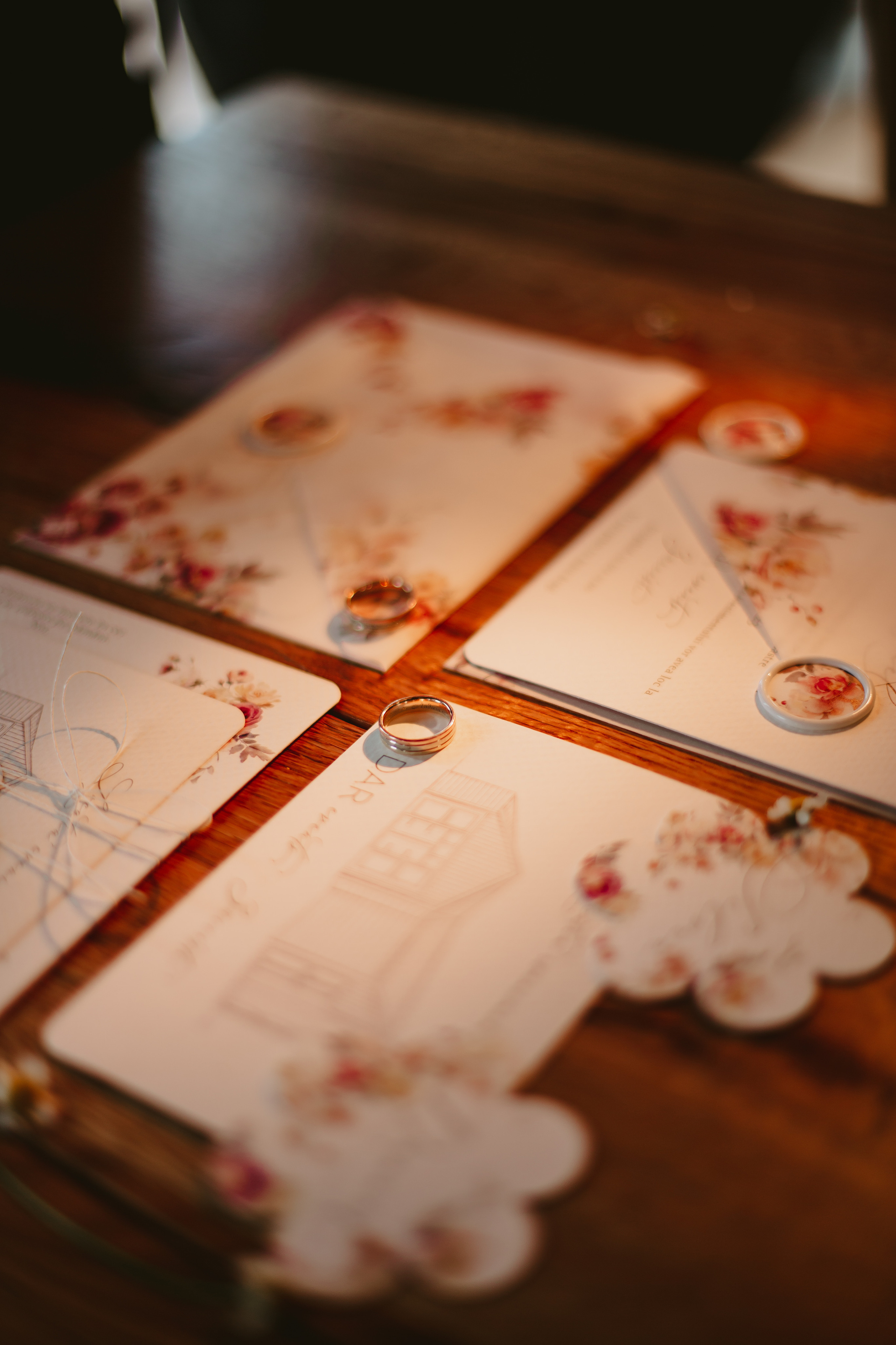 S&D. Fotograf București, România