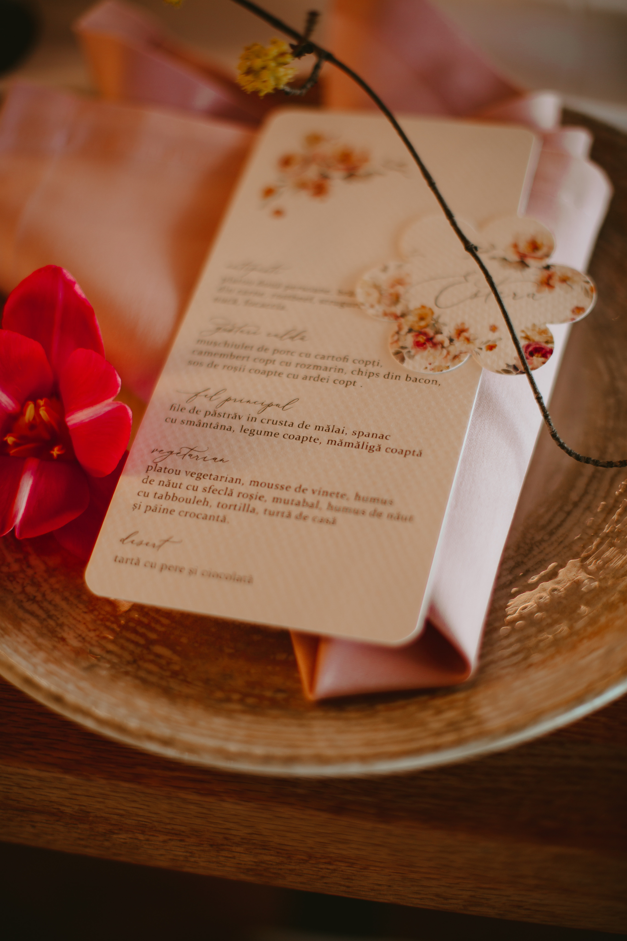 S&D. Fotograf București, România