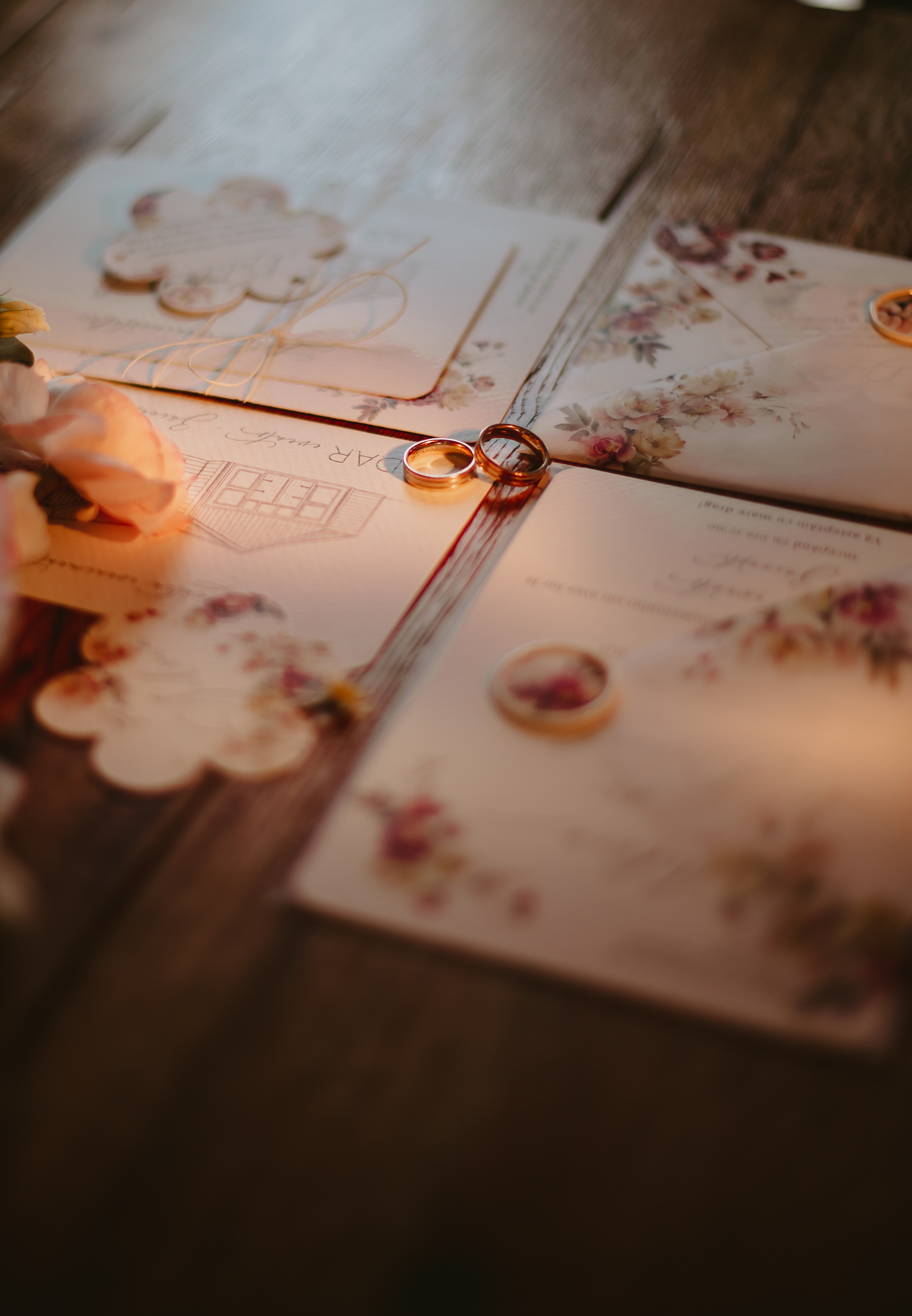 S&D. Fotograf București, România