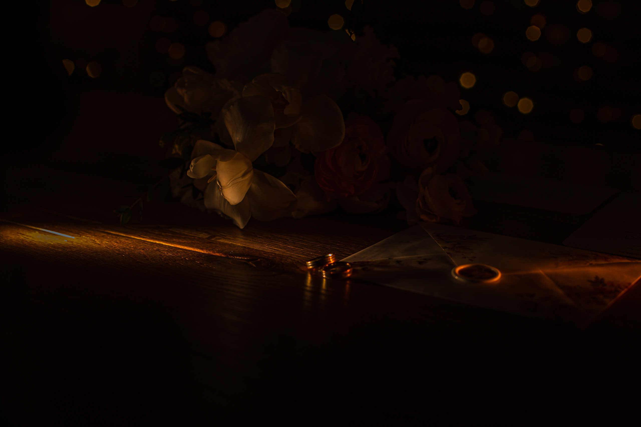 S&D. Fotograf București, România