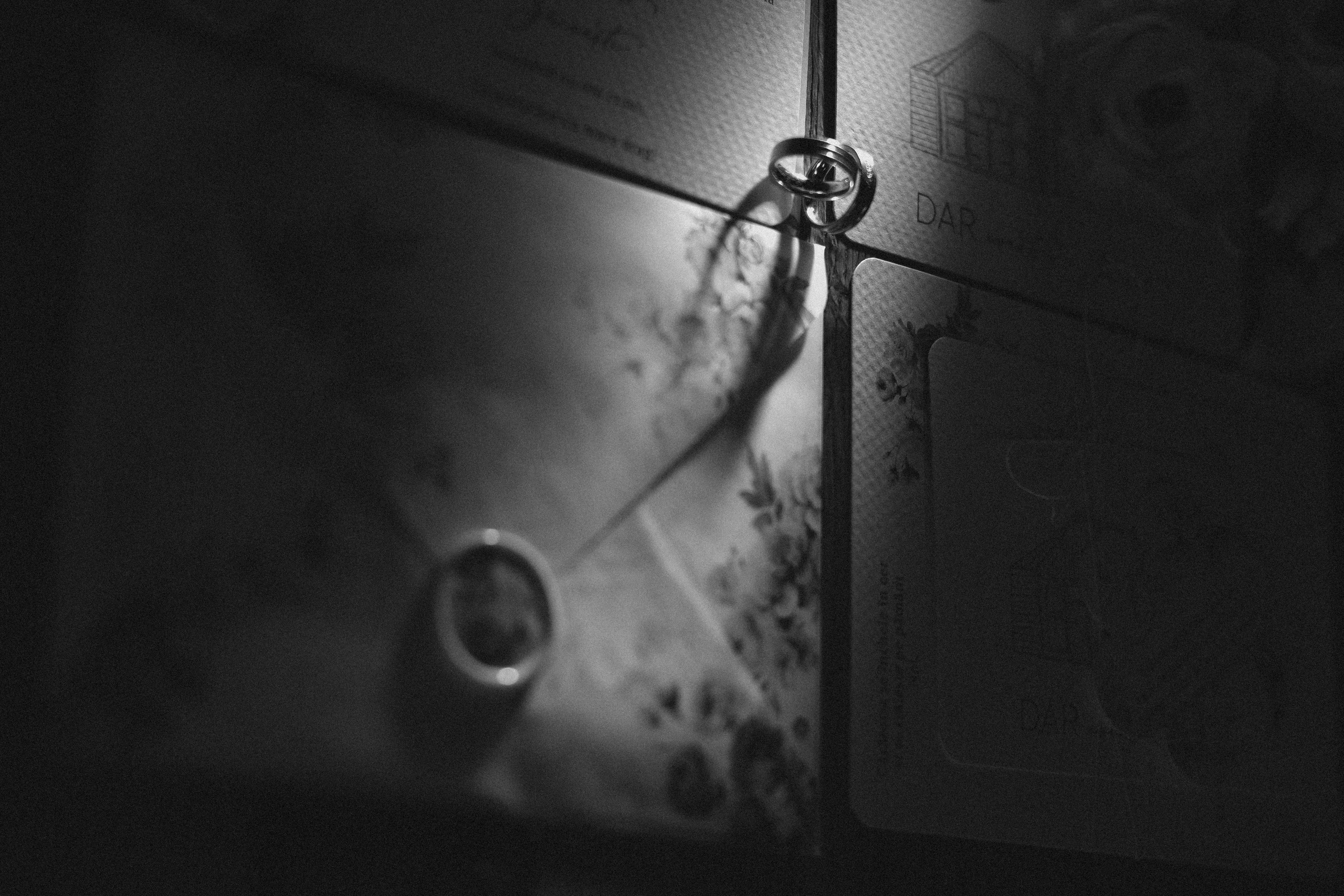 S&D. Fotograf București, România