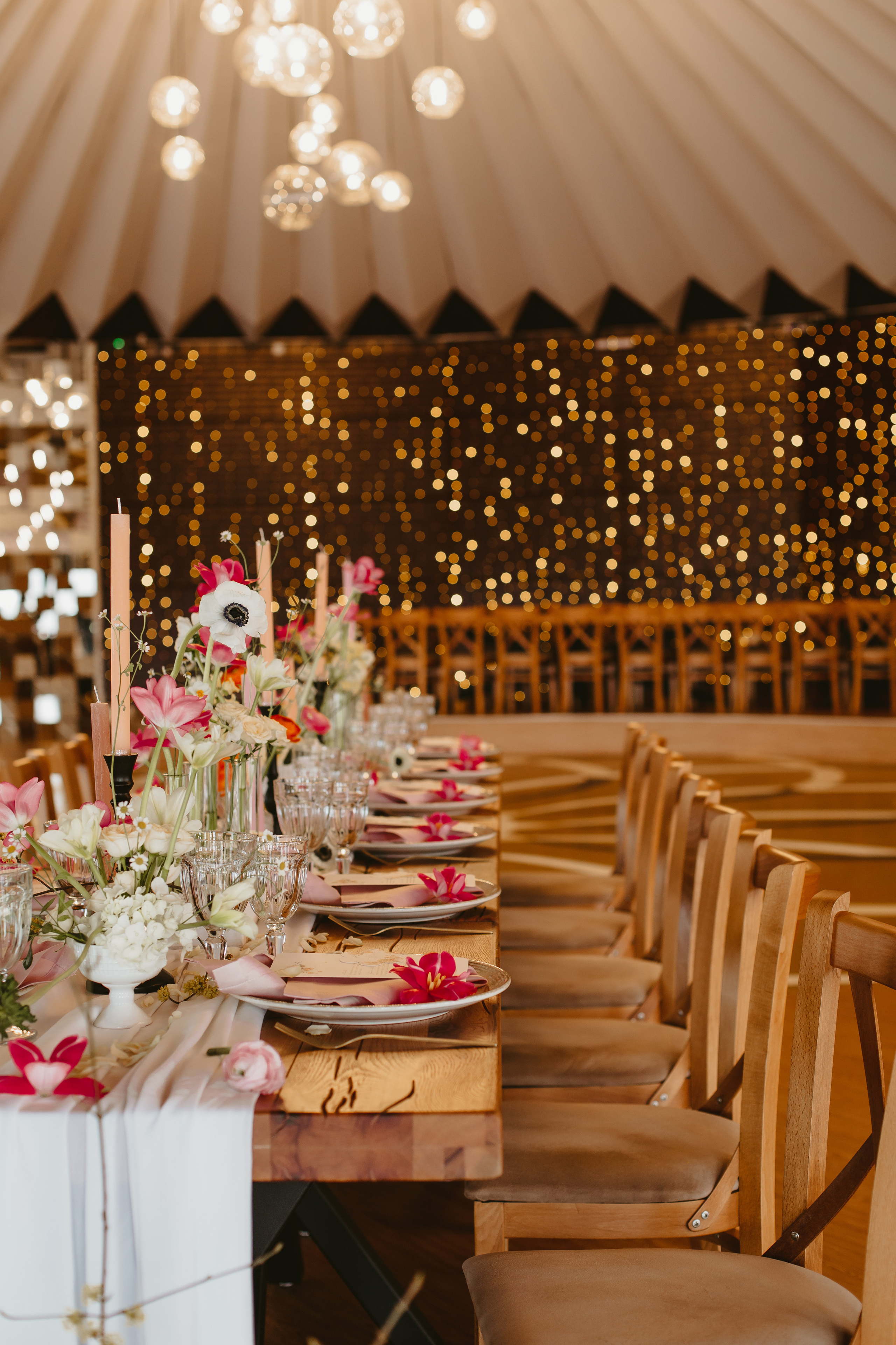 S&D. Fotograf București, România