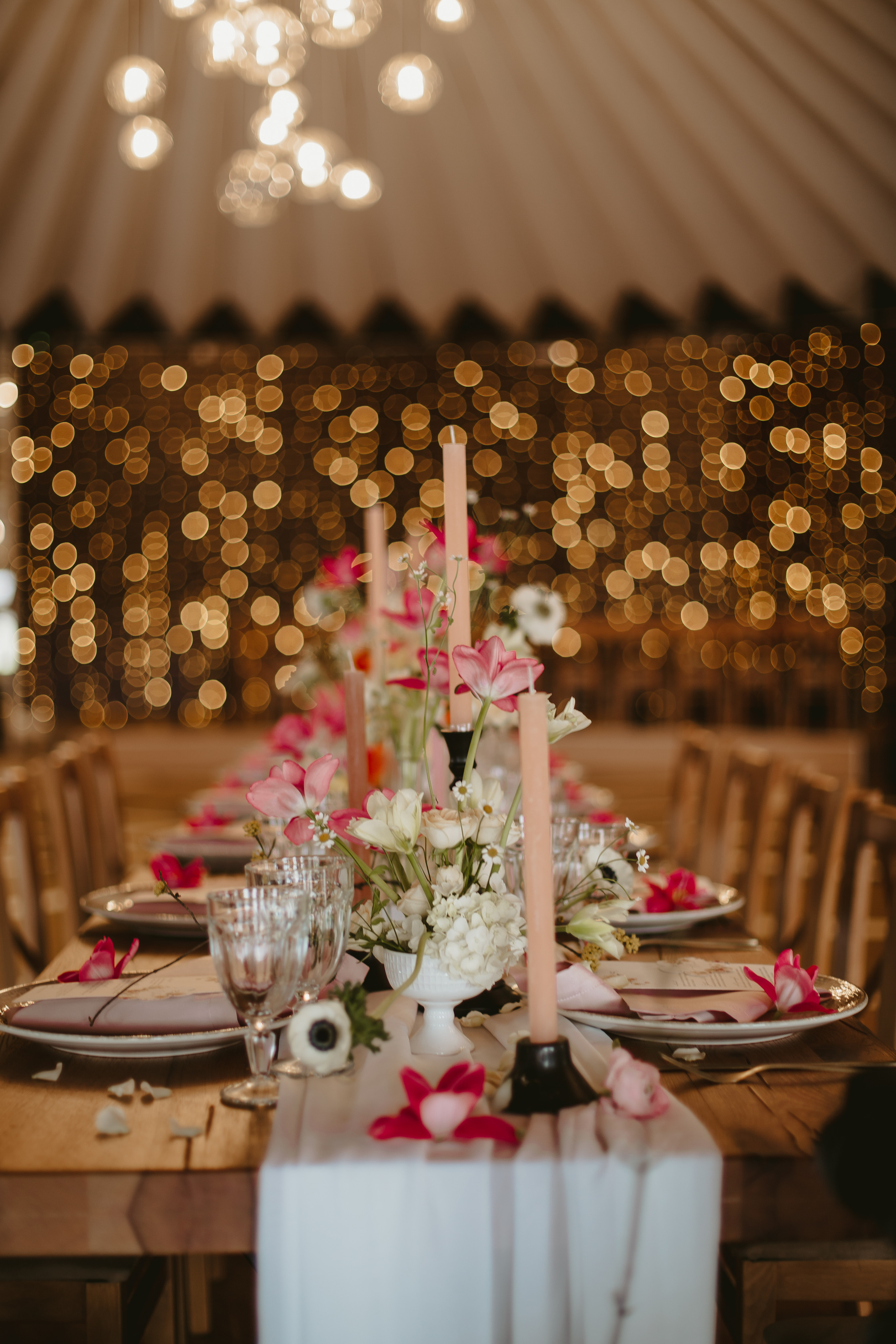 S&D. Fotograf București, România