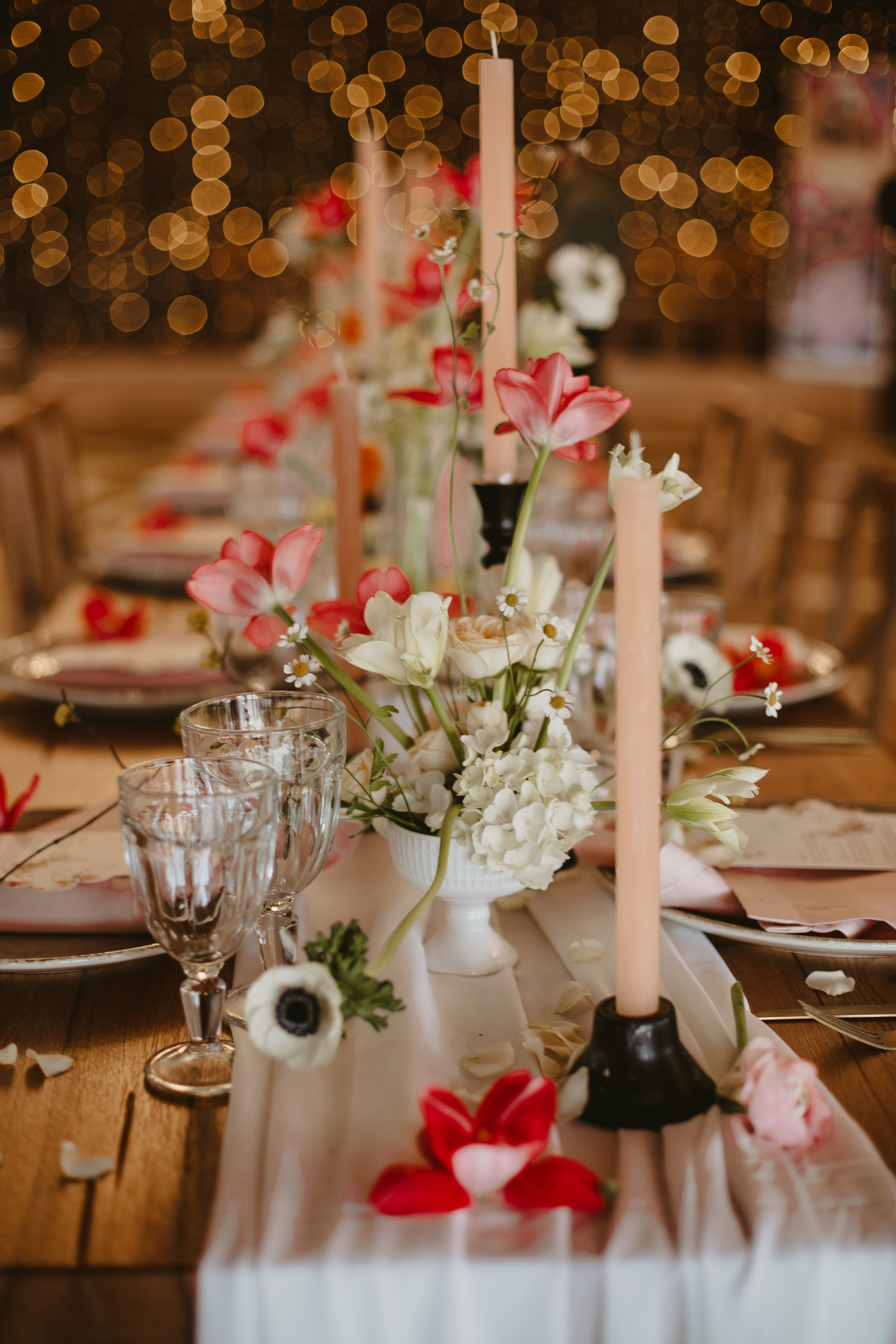 S&D. Fotograf București, România