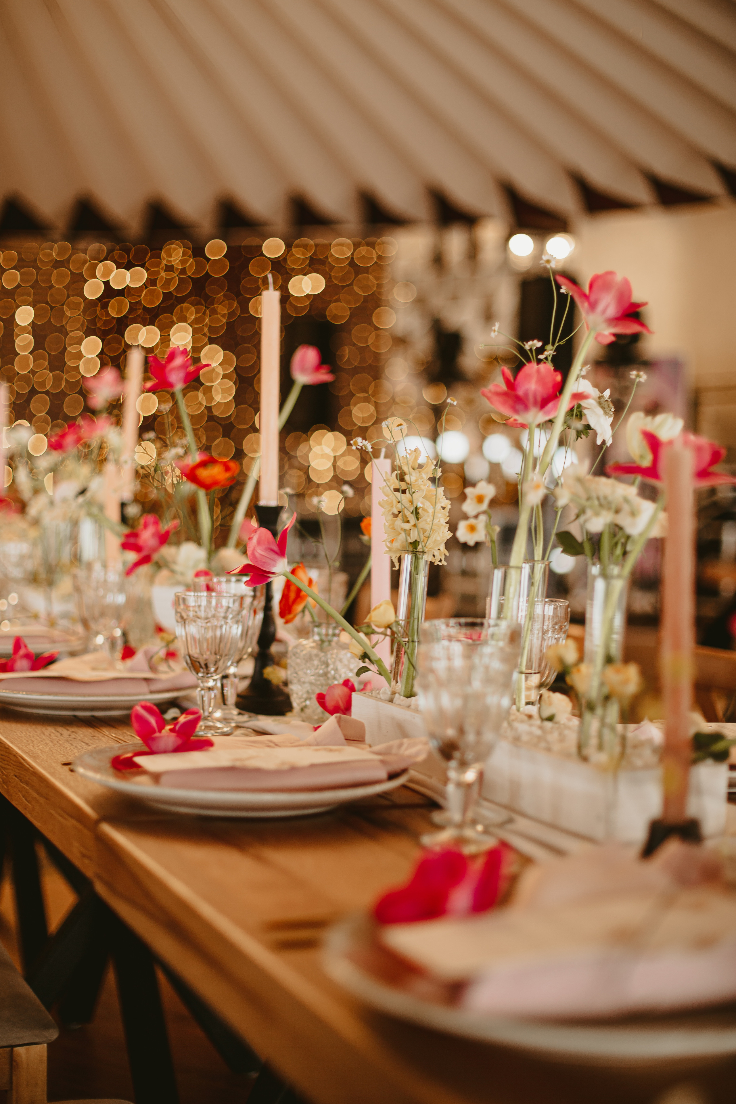 S&D. Fotograf București, România