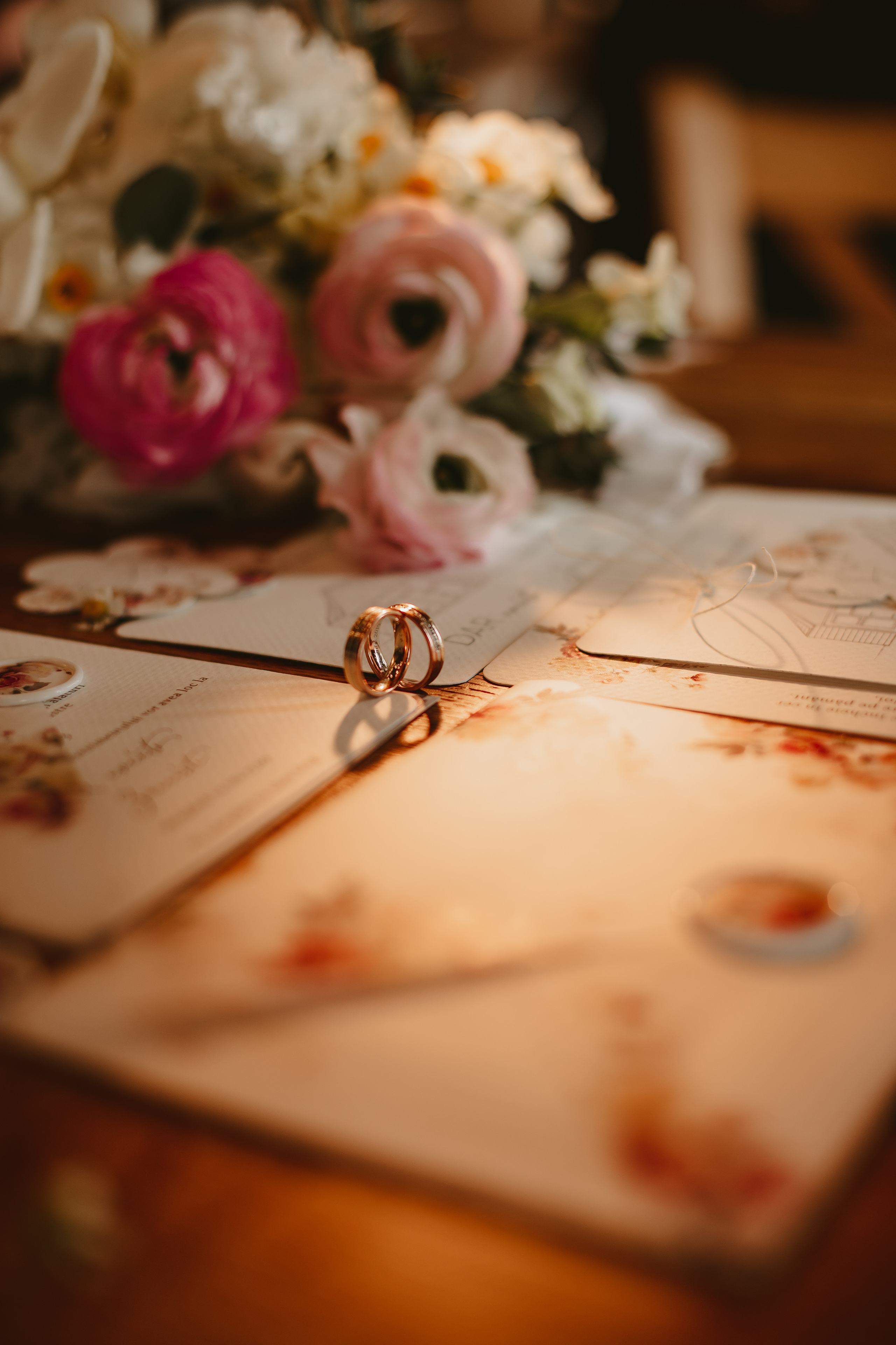 S&D. Fotograf București, România