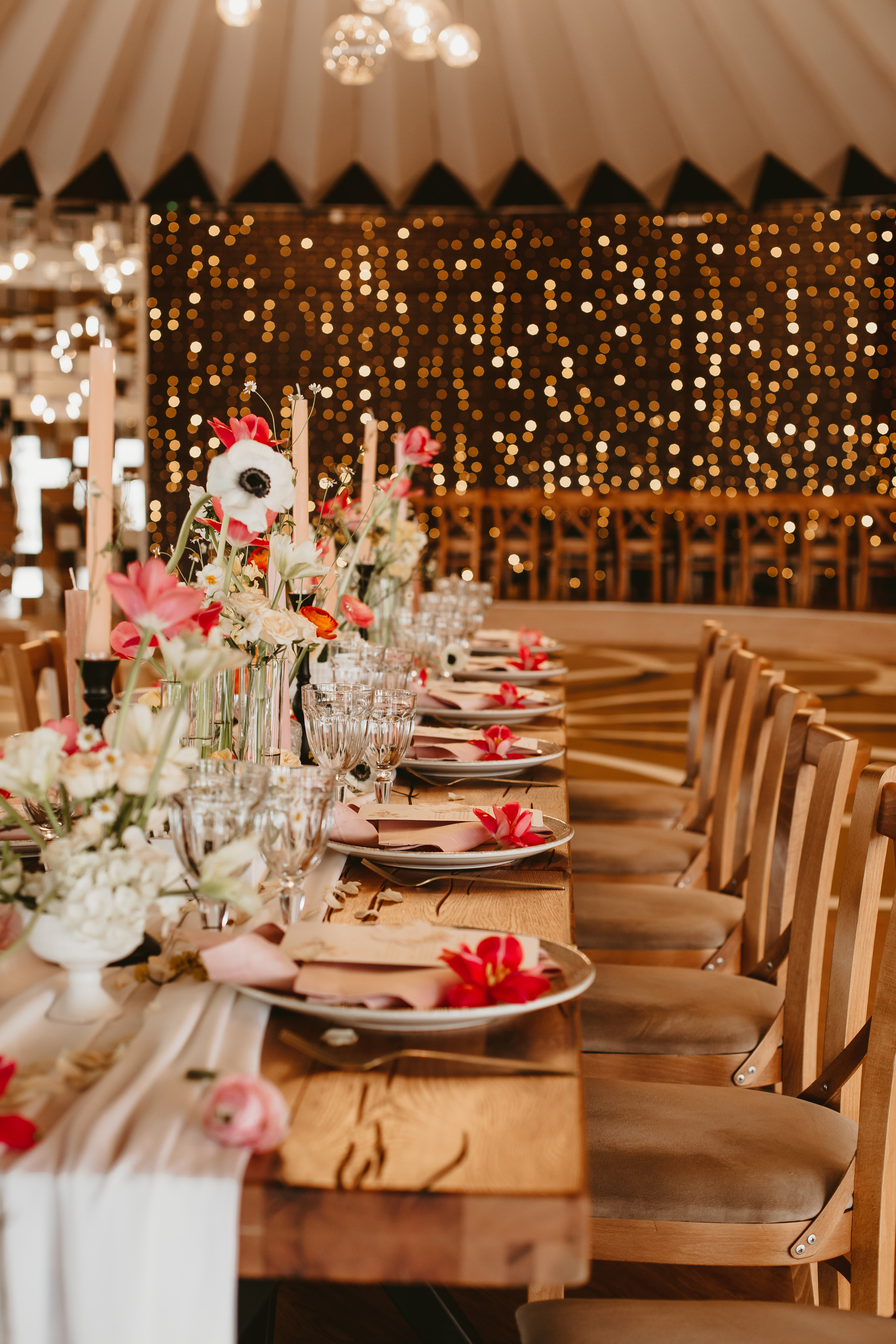 S&D. Fotograf București, România