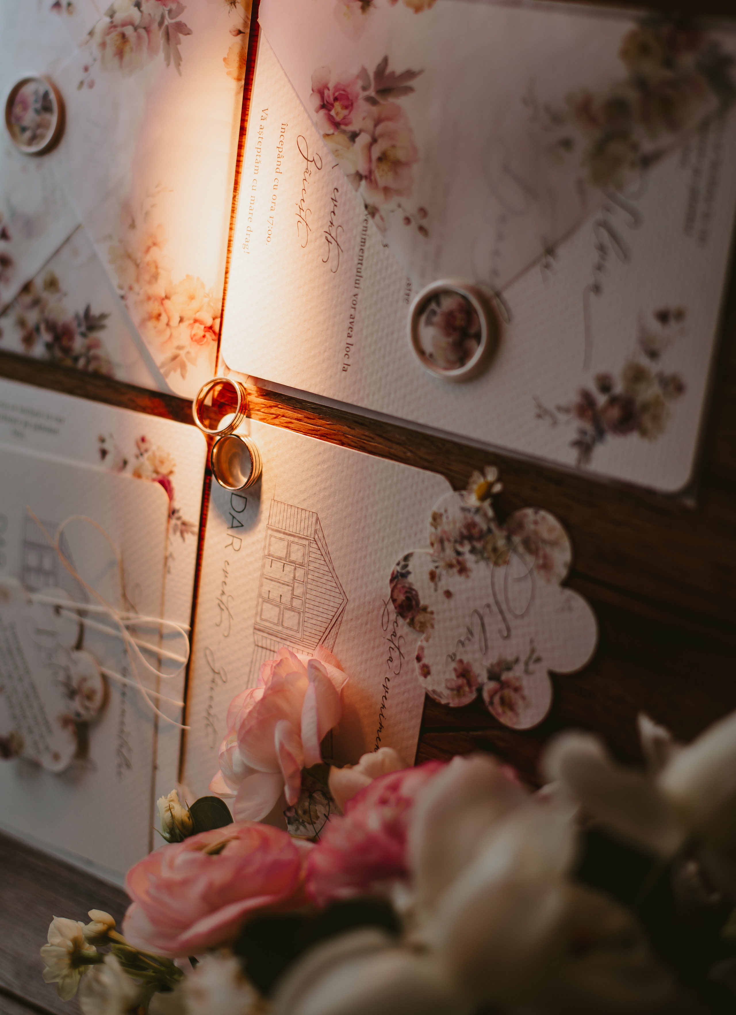 S&D. Fotograf București, România