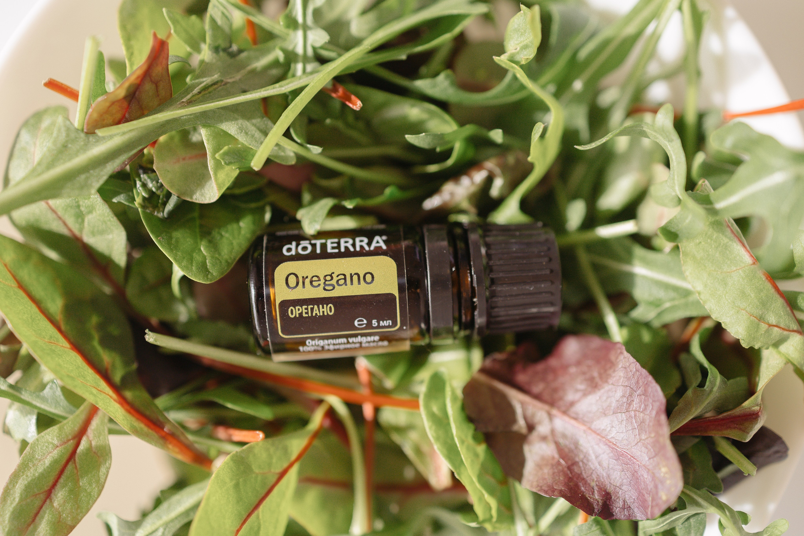 Dottera. Фотограф Ксения Русецкая