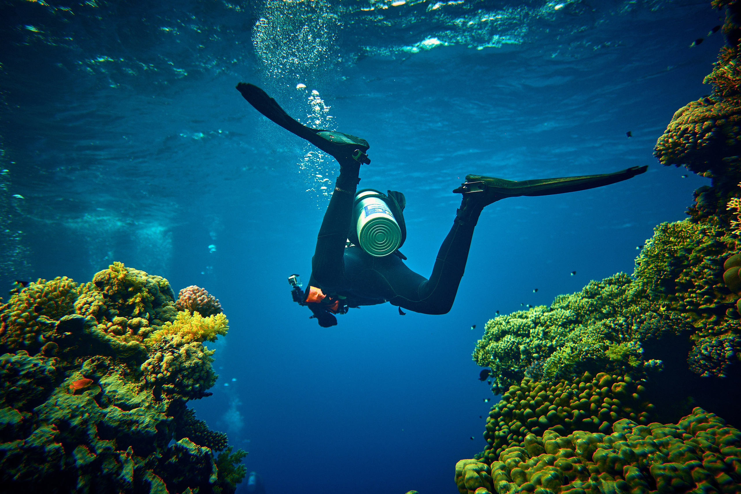2023-11 - Diving Safari Deep South Egypt. Andriej Szypilow — Photography & Videography