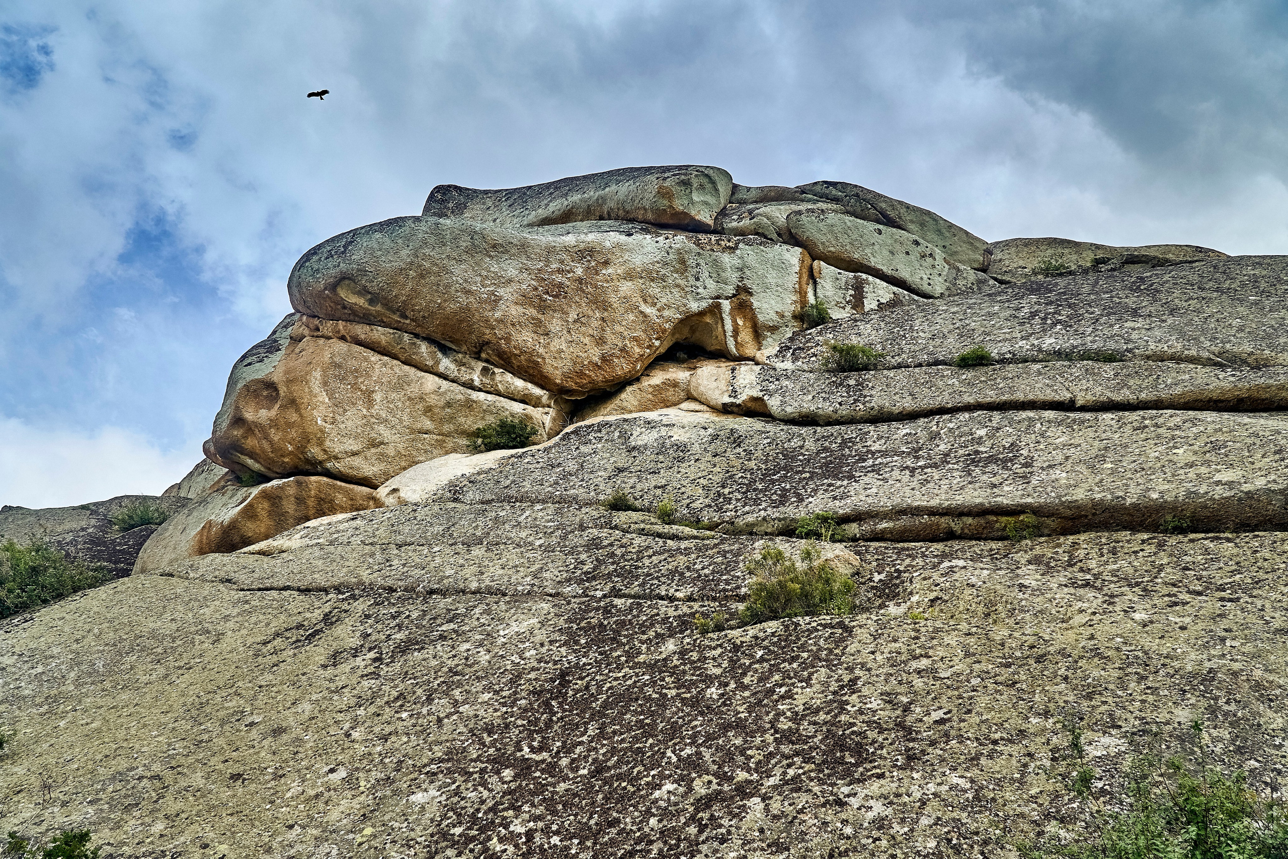 Сибины. Андрей Шипилов — Фотография & Видеография