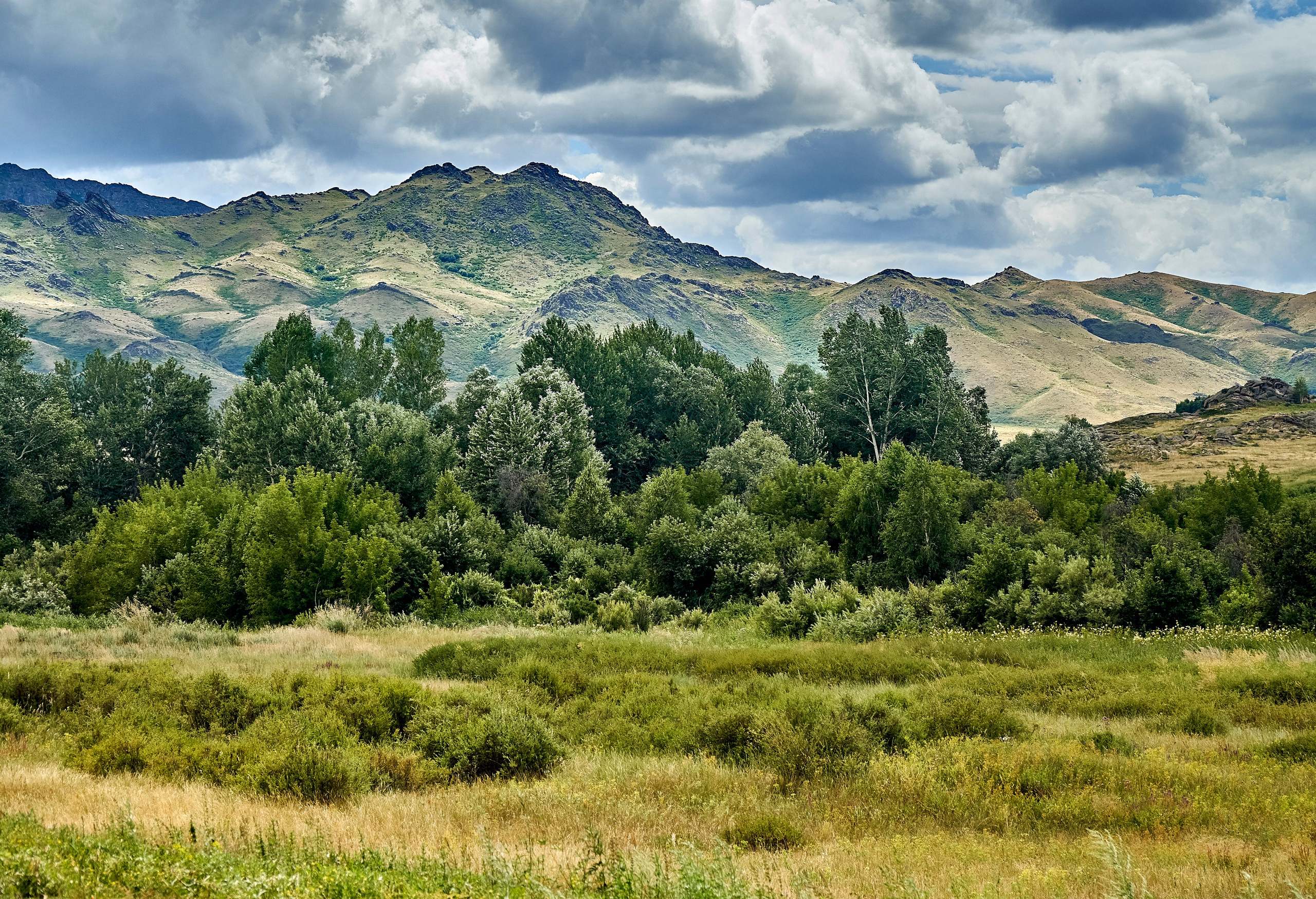 Сибины. Андрей Шипилов — Фотография & Видеография