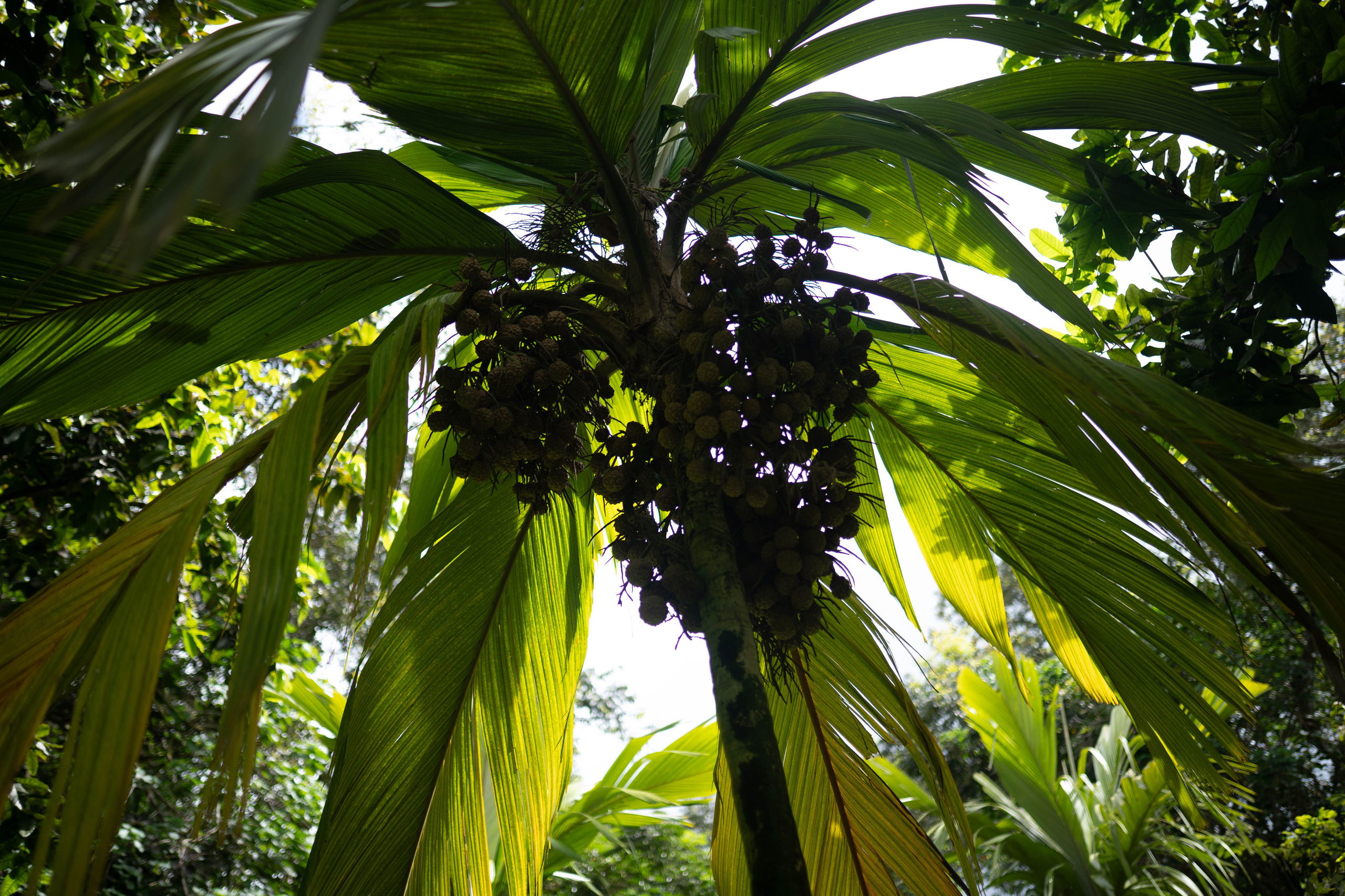 Be. Photographer in Hawaii
