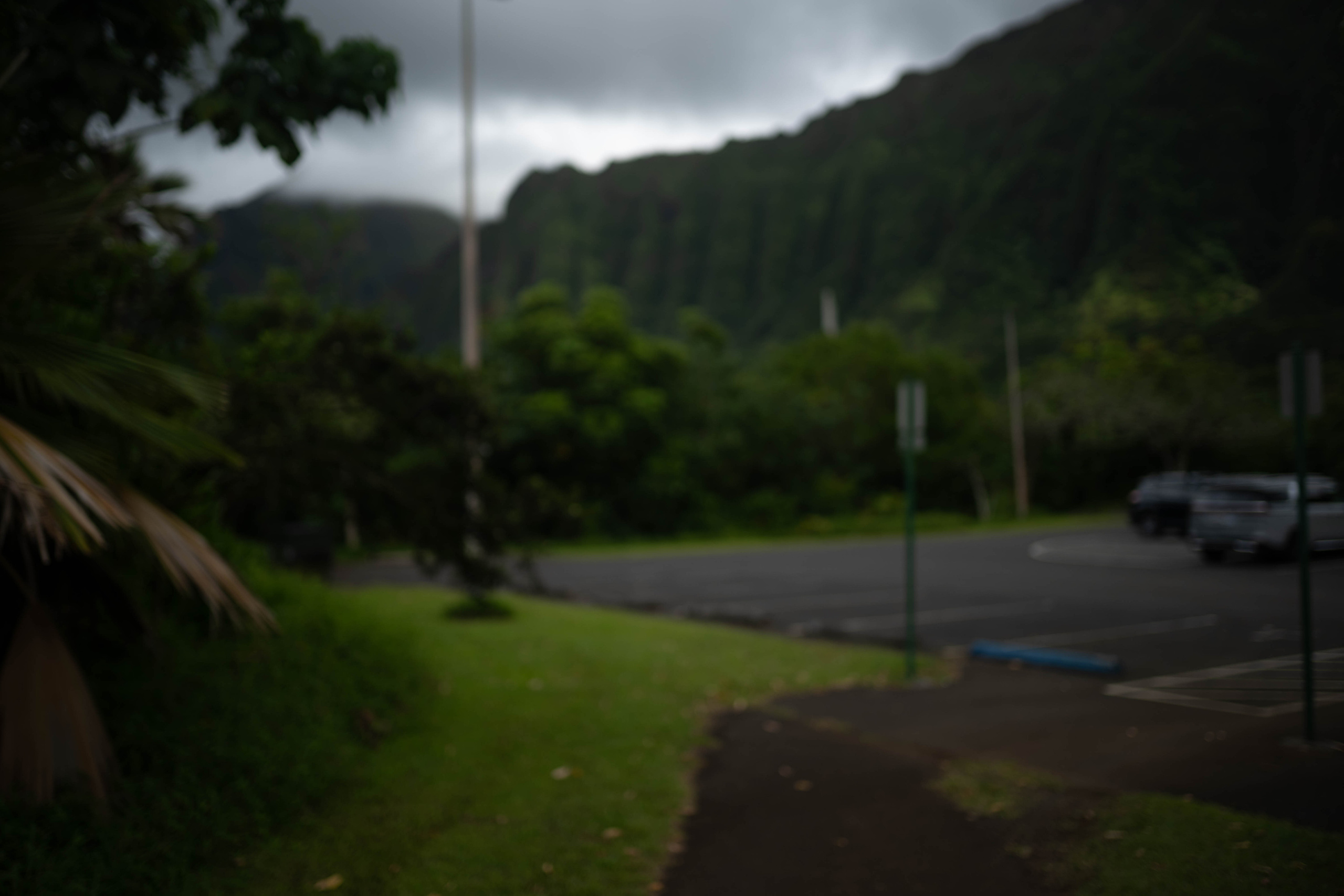 Be. Photographer in Hawaii