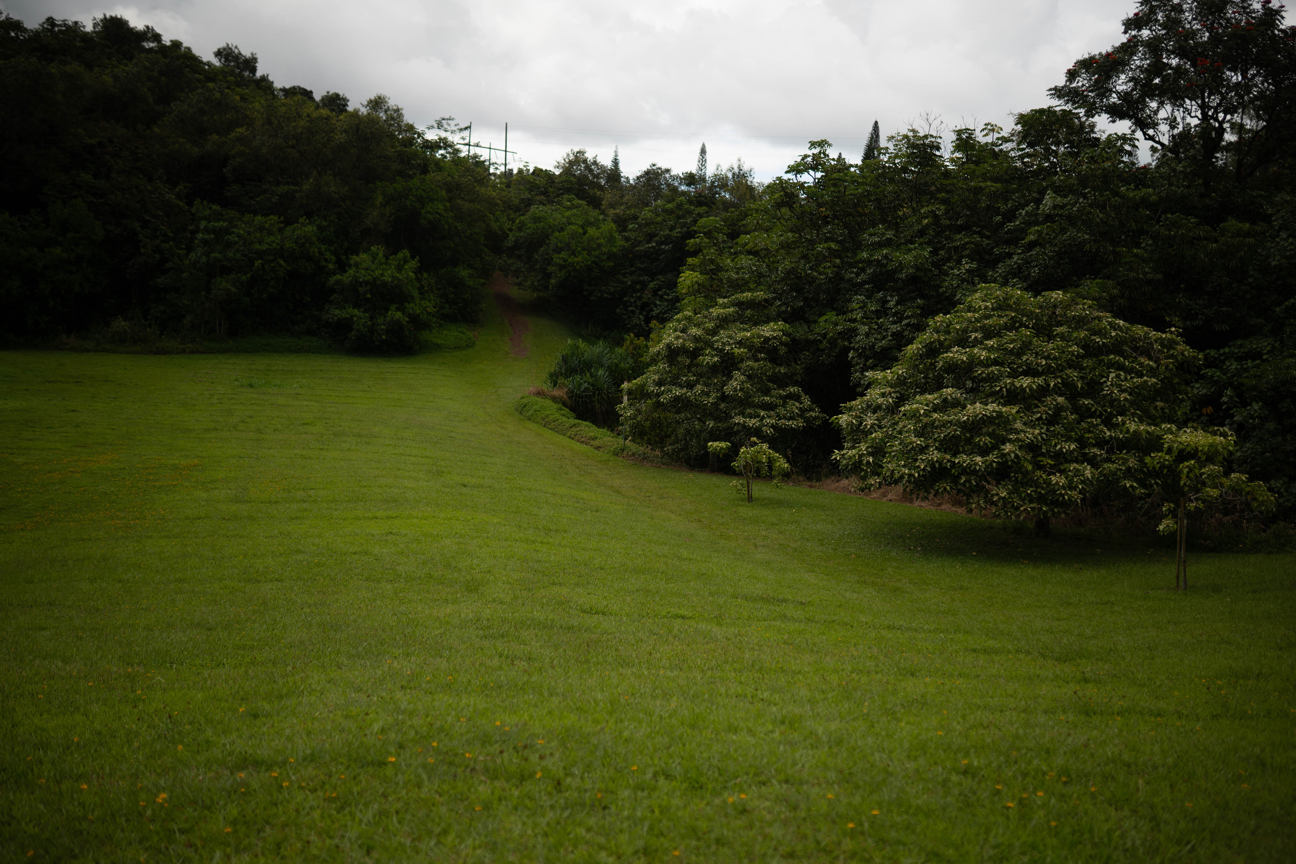 Be. Photographer in Hawaii